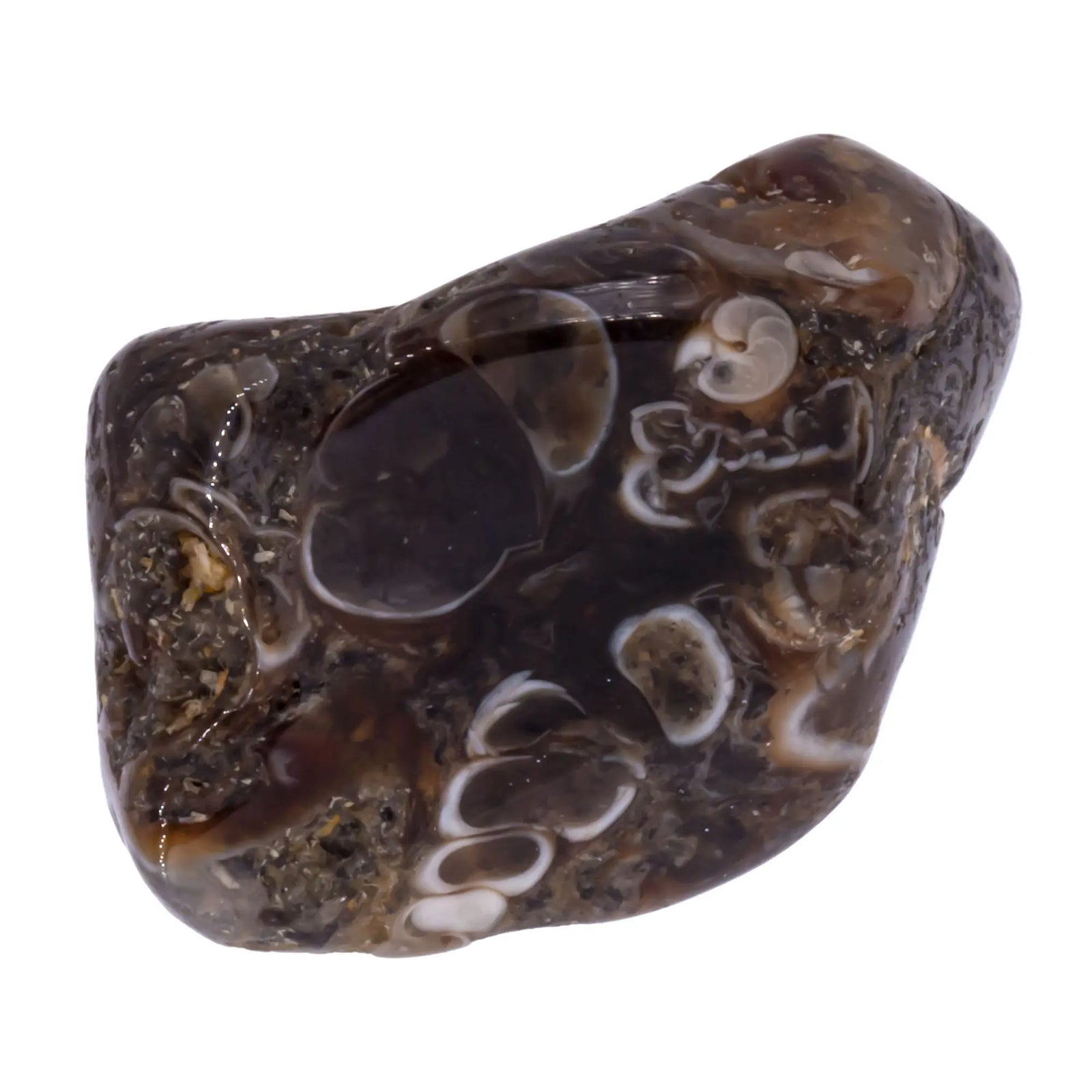 Agate fossile pierre roulée - Inde - 2 à 3cm - agate-fossile-roulee-agtpr1 - CRISTAL SOURCES