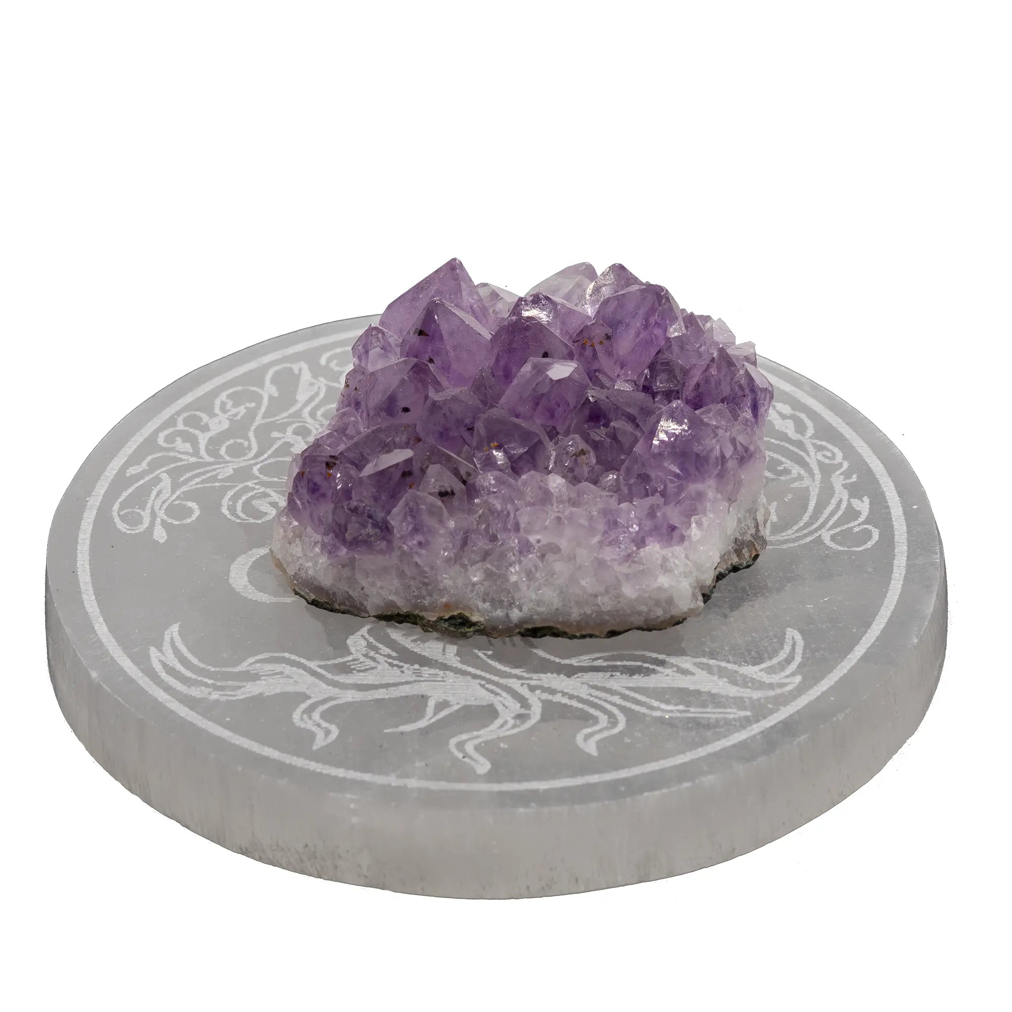 amas-amethyste-claire-amaa21 - CRISTAL SOURCES