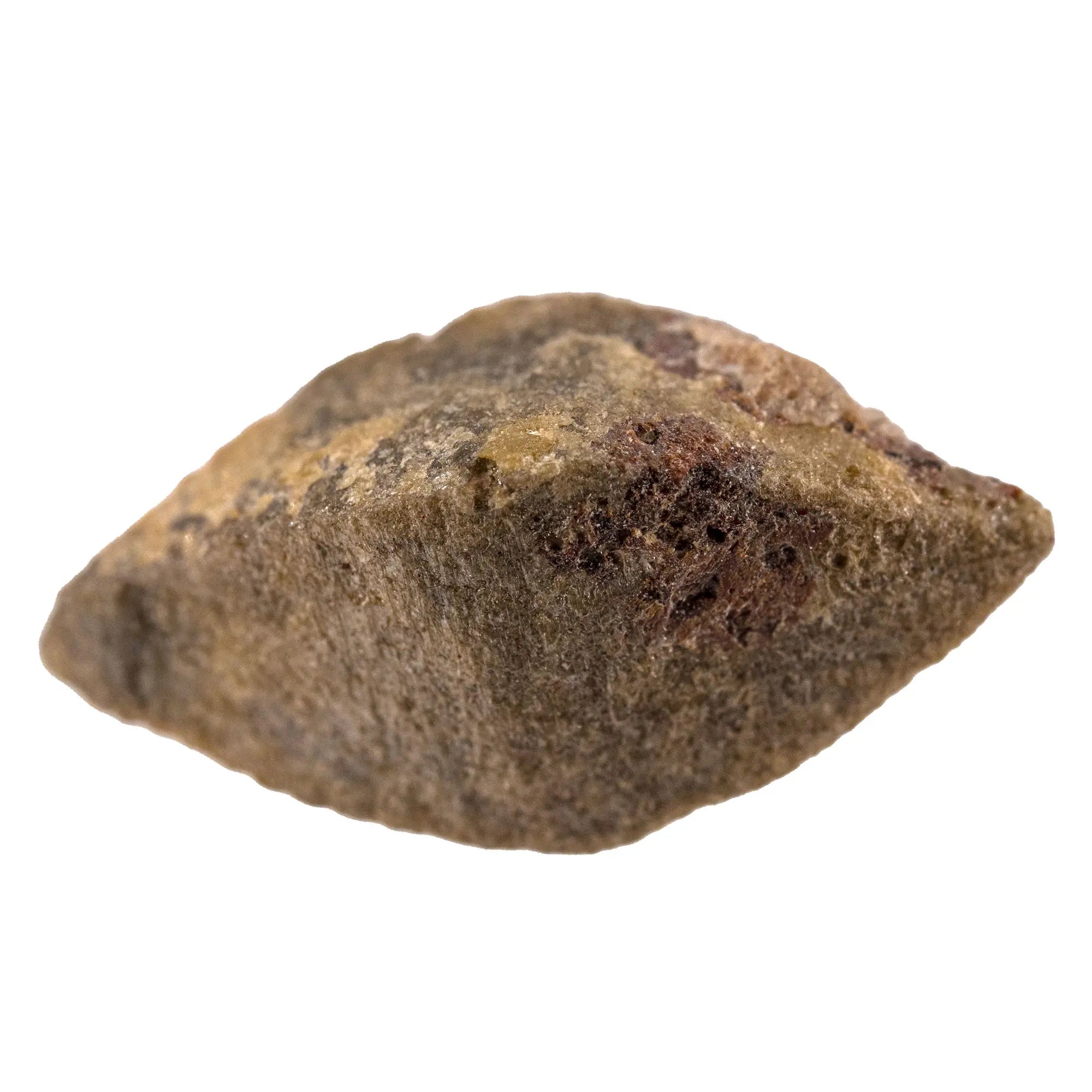 Anatase cristal brut biterminé - Culaba Brésil - anatase-cristal-brut-cuiaba-bresil-1-5cm-ana3 - CRISTAL SOURCES