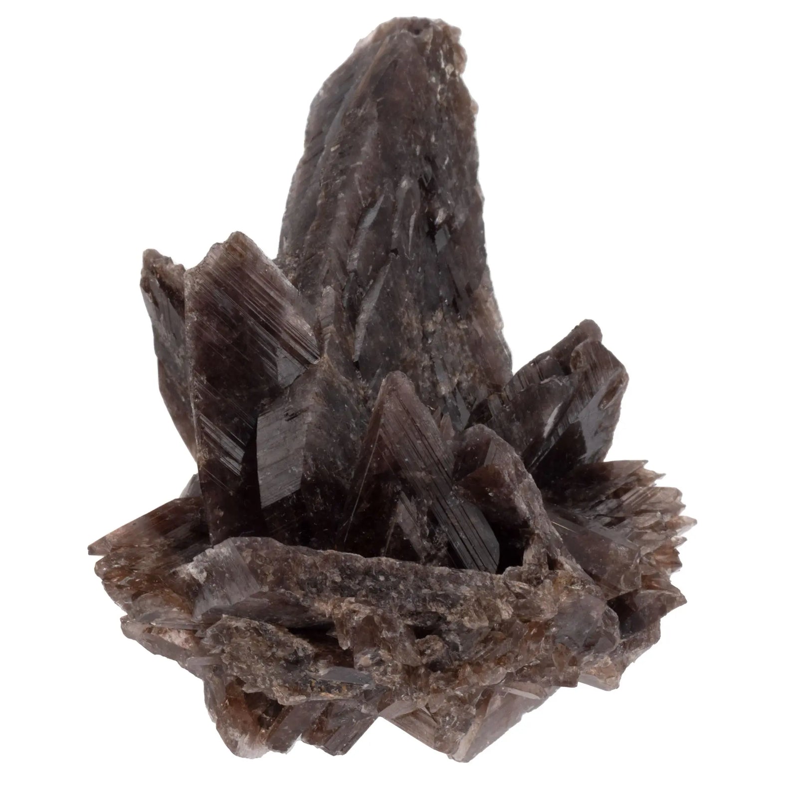 Axinite - Quartz - pierre brute - Pérou - axinite-pierre-brute-quartz-collection-lithotherapie-axi10 - CRISTAL SOURCES