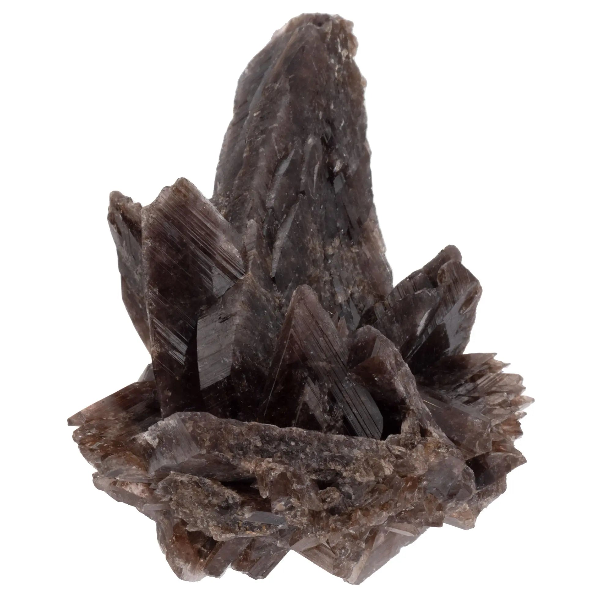 Axinite - Quartz - pierre brute - Pérou - axinite-pierre-brute-quartz-collection-lithotherapie-axi10 - CRISTAL SOURCES