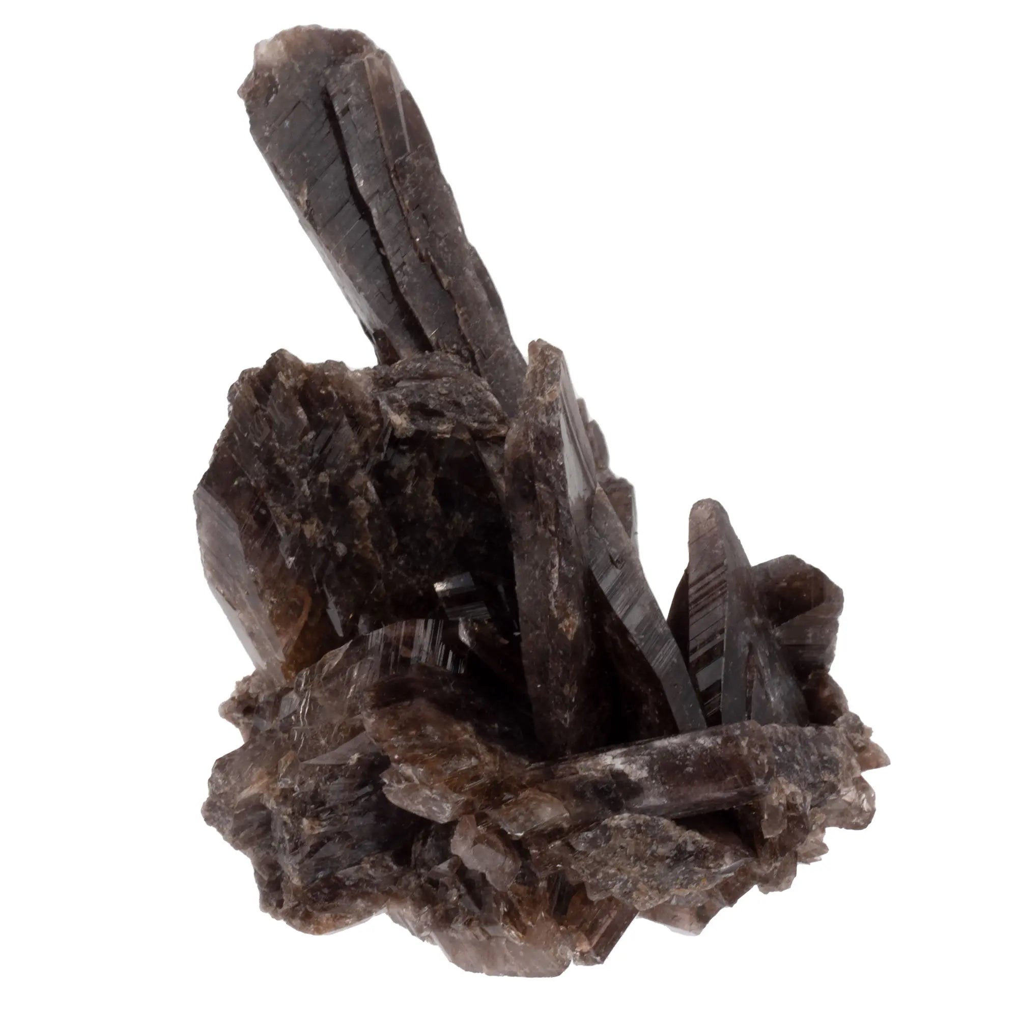 Axinite - Quartz - pierre brute - Pérou - axinite-pierre-brute-quartz-collection-lithotherapie-axi10 - CRISTAL SOURCES