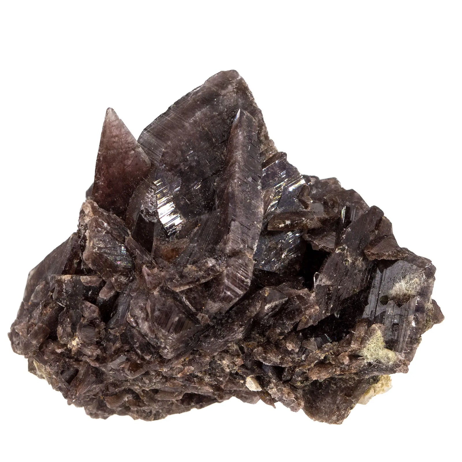 Axinite - pierre brute - Pérou - naturelle - axinite-cristaux-brut-vertus-naturelle-collection-axi14 - CRISTAL SOURCES