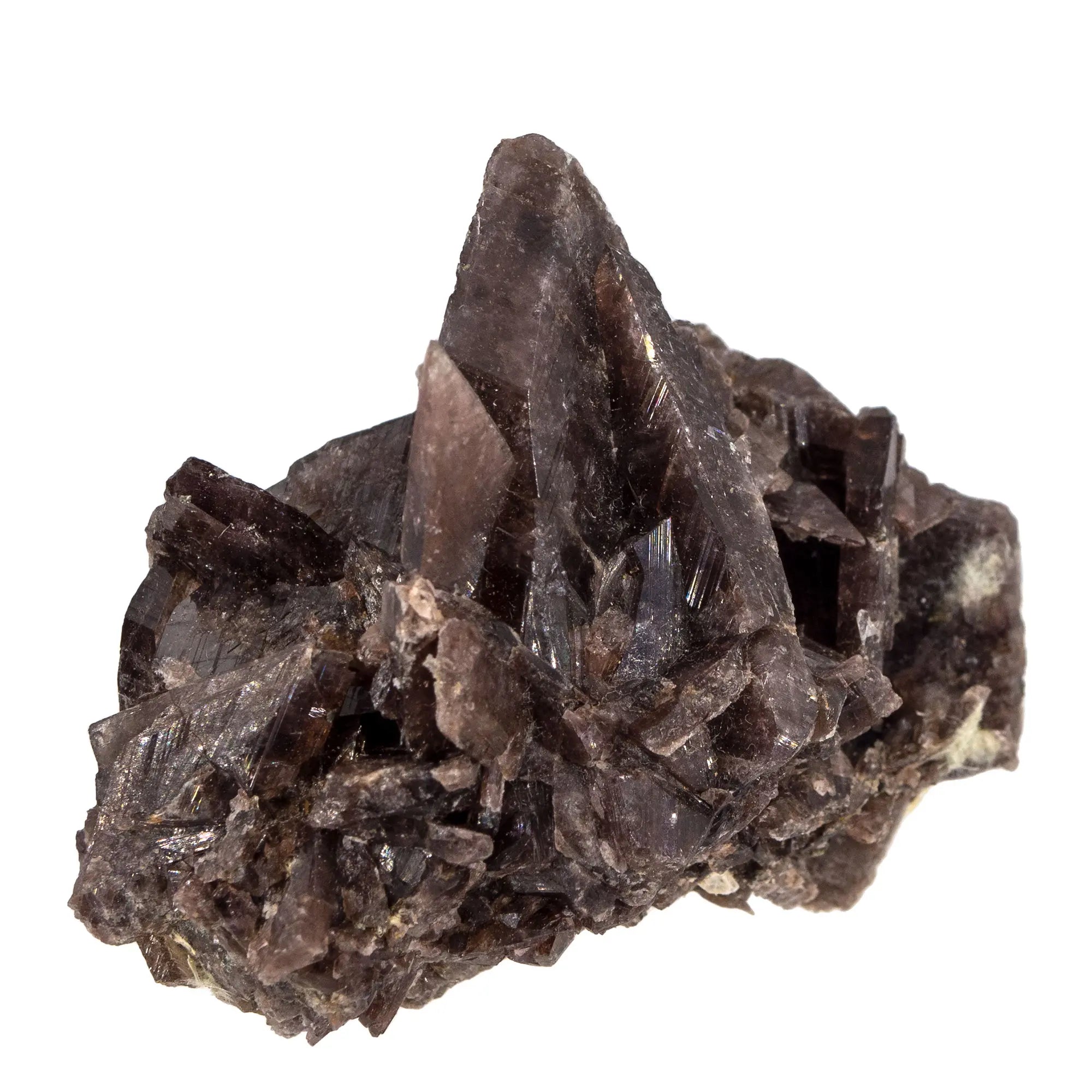 Axinite - pierre brute - Pérou - naturelle - axinite-cristaux-brut-vertus-naturelle-collection-axi14 - CRISTAL SOURCES