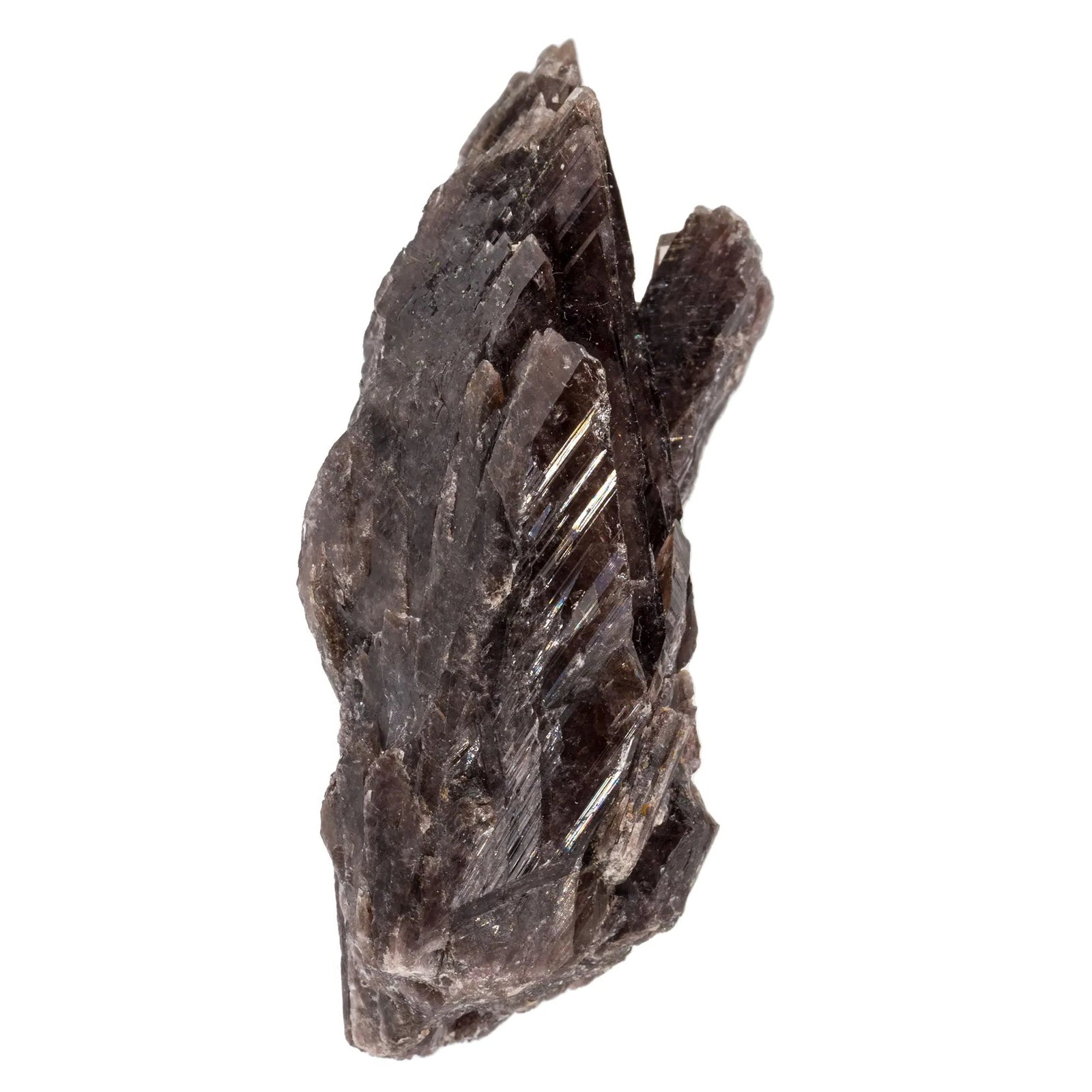 Axinite cristal brut - Pérou - 6cm - axinite-cristaux-bruts-perou-naturelle-axi9 - CRISTAL SOURCES