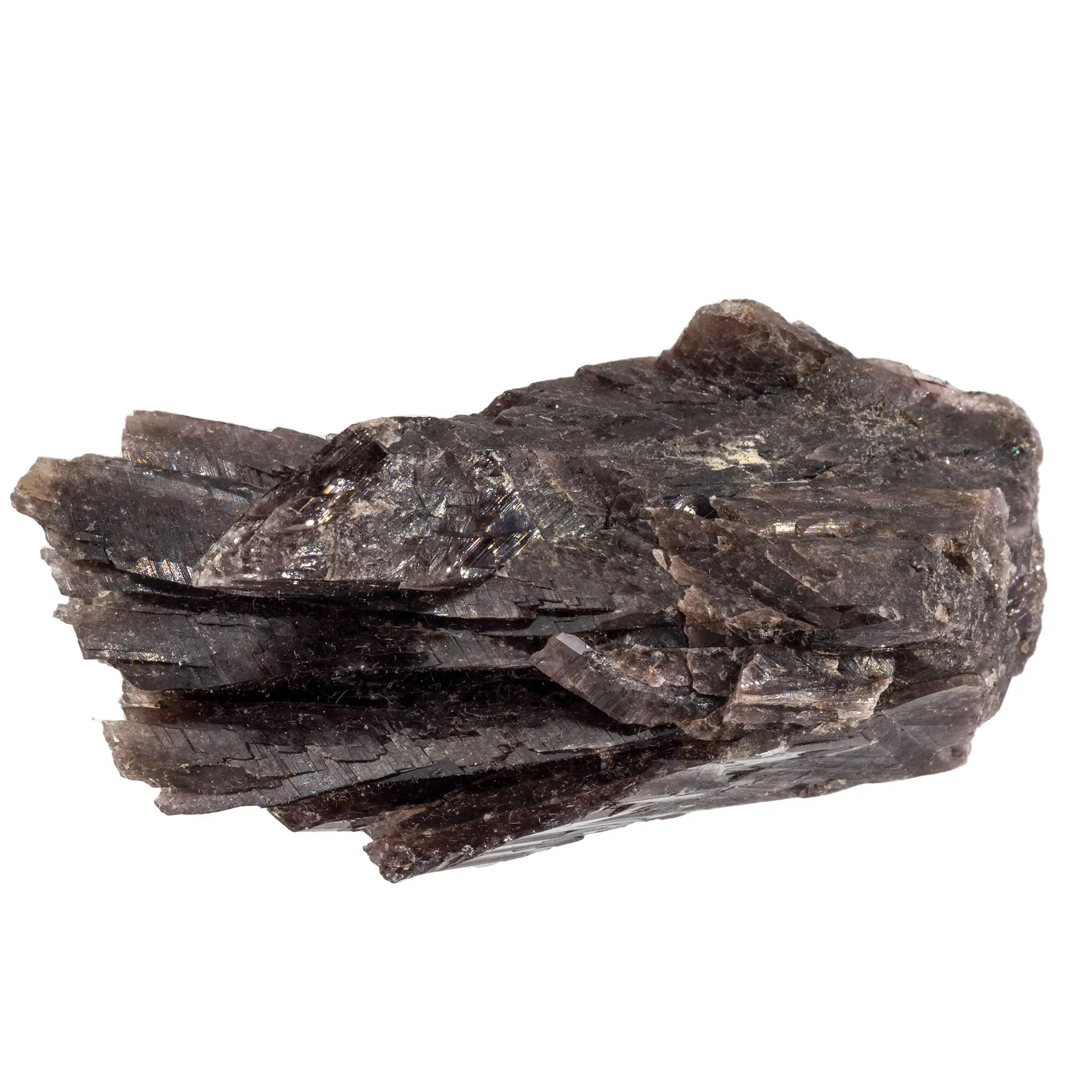 Axinite - pierre brute - Pérou - rare - CRISTAL SOURCES