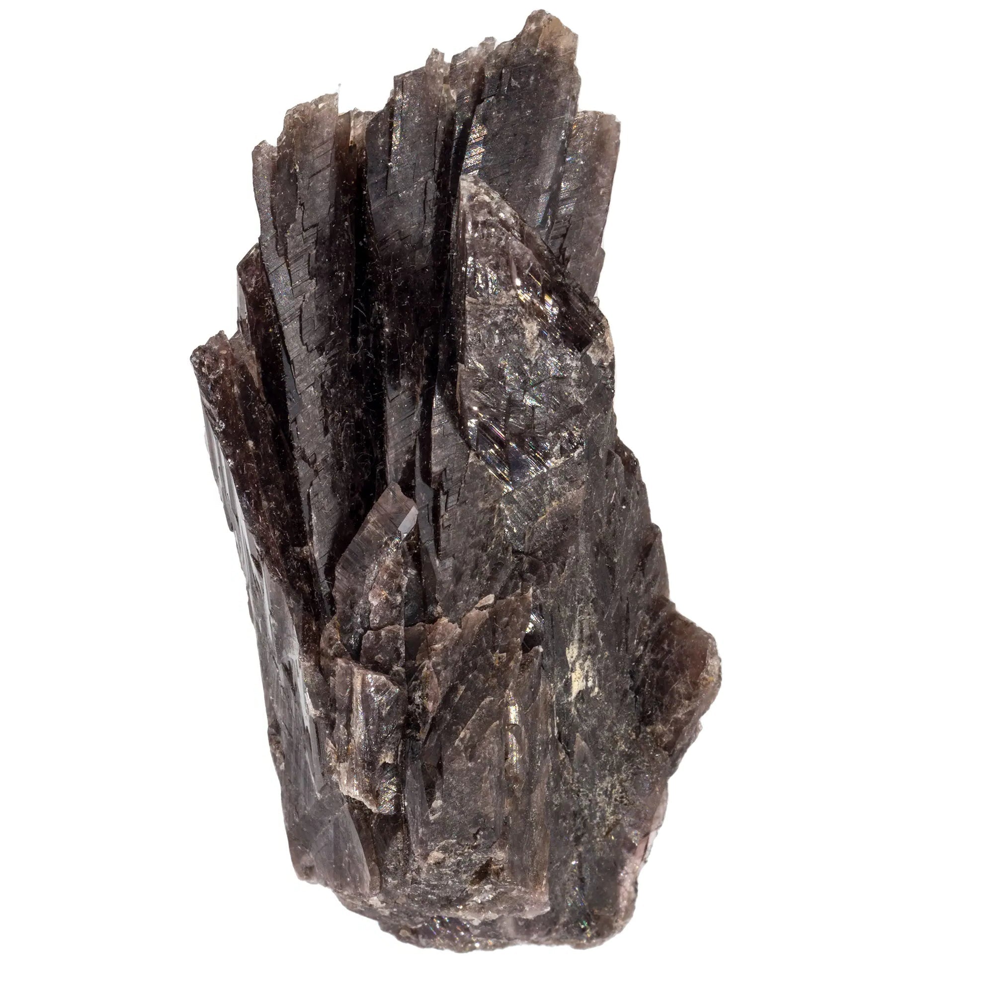 Axinite cristal brut - Pérou - 6cm - axinite-cristaux-bruts-perou-naturelle-axi9 - CRISTAL SOURCES