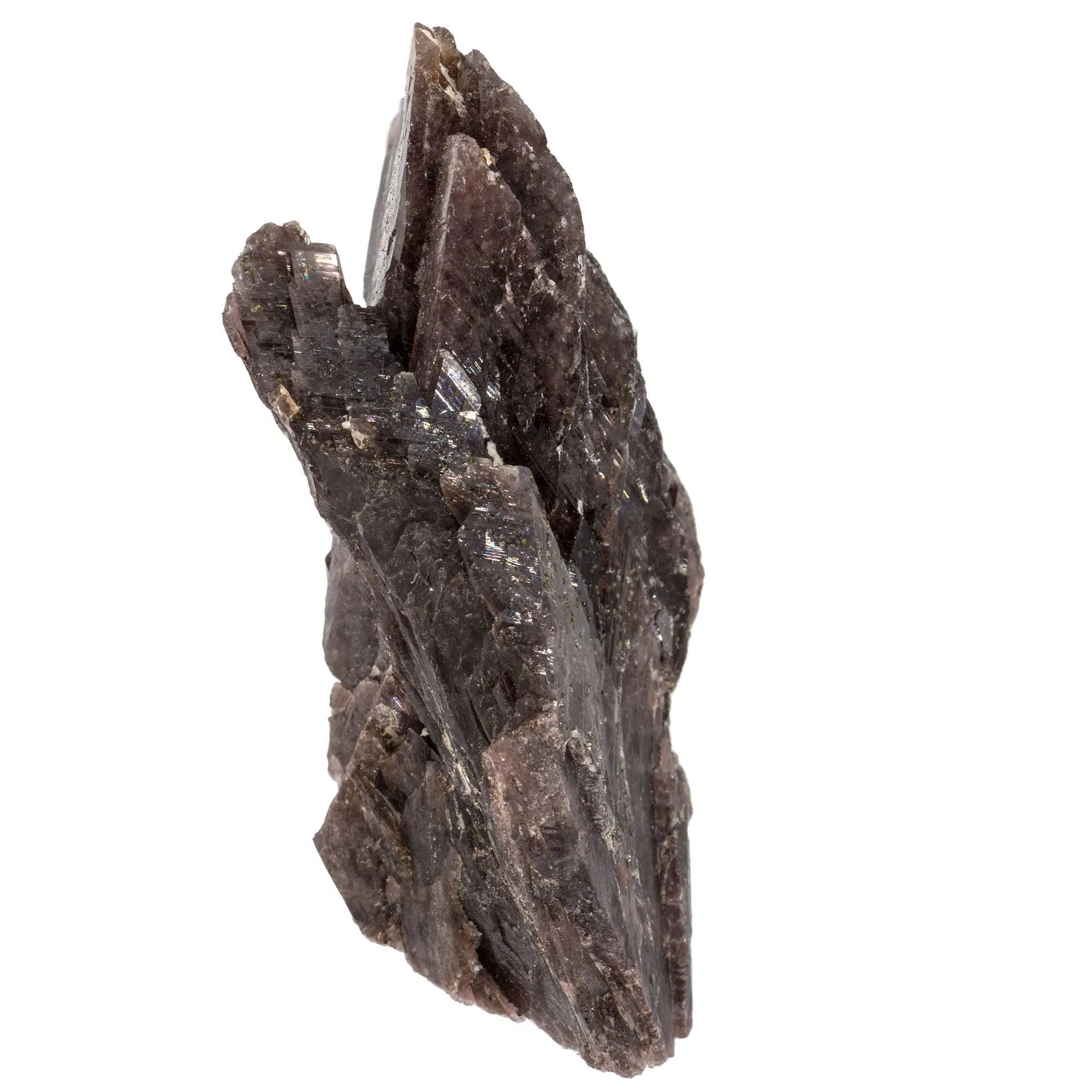 Axinite cristal brut - Pérou - 6cm - axinite-cristaux-bruts-perou-naturelle-axi9 - CRISTAL SOURCES