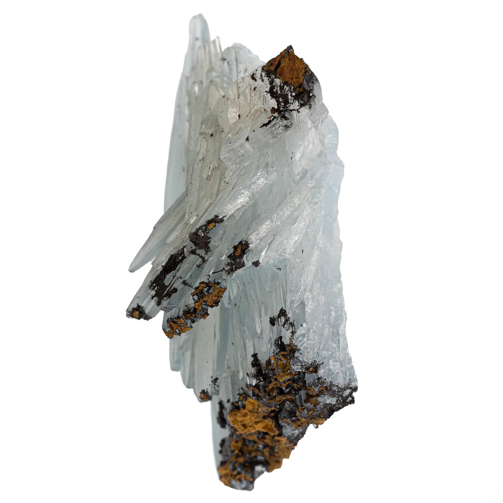 Baryte bleue brute sur limonite du Maroc - baryte-bleue-limonite-collection-bennibou-maroc-barb5 - CRISTAL SOURCES