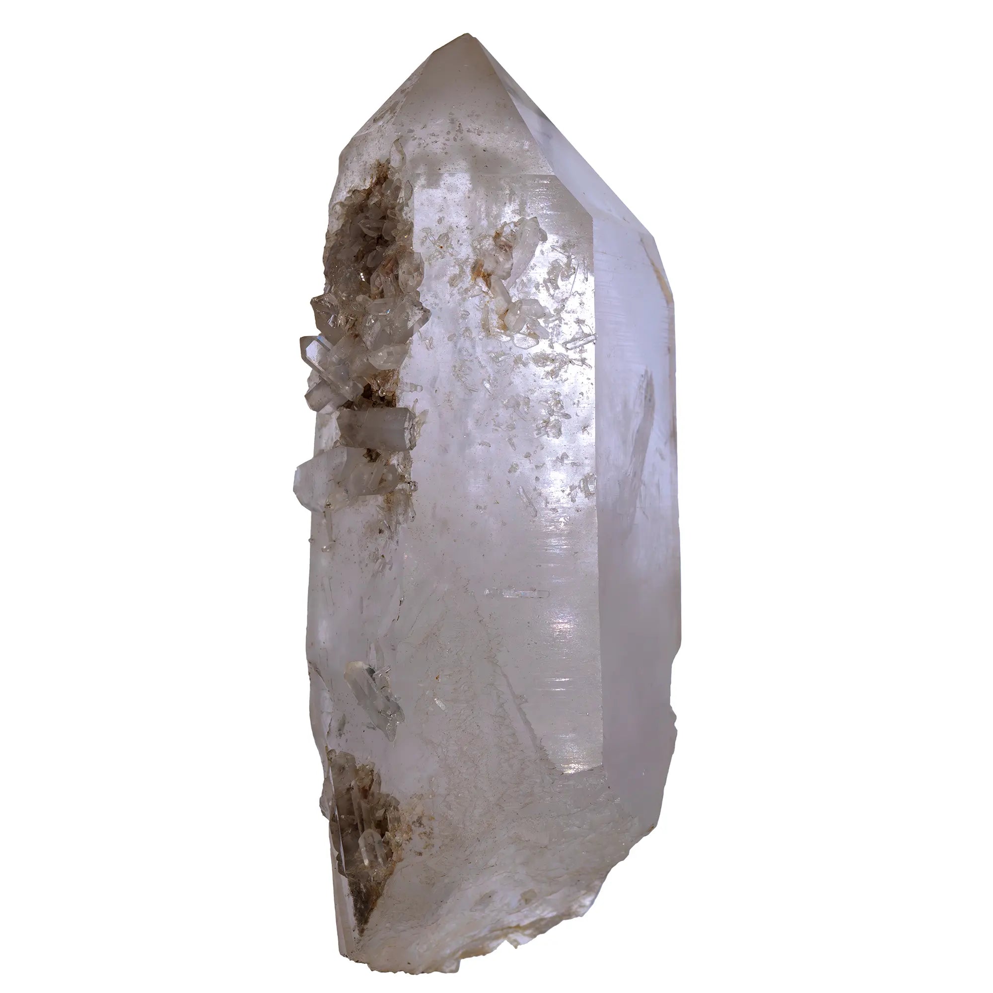 Cristal de roche - grand cristal brut 16.5cm - Arkansas - cristal-de-roche-grand-cristal-arkansas-bcr4 - CRISTAL SOURCES