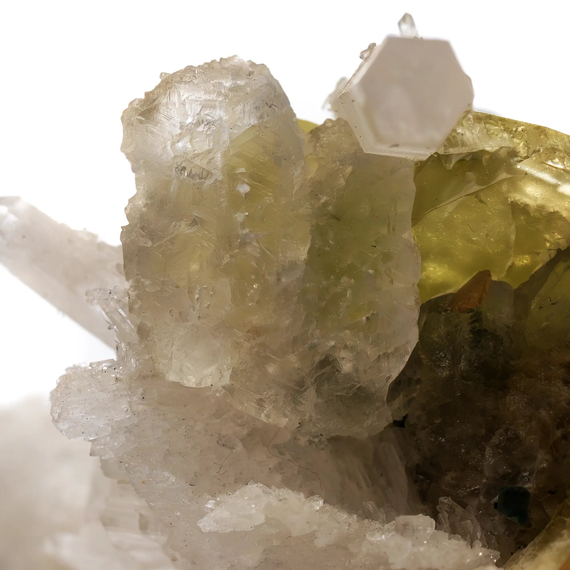 Collection - Brazilianite, beryllonite & quartz - Brésil