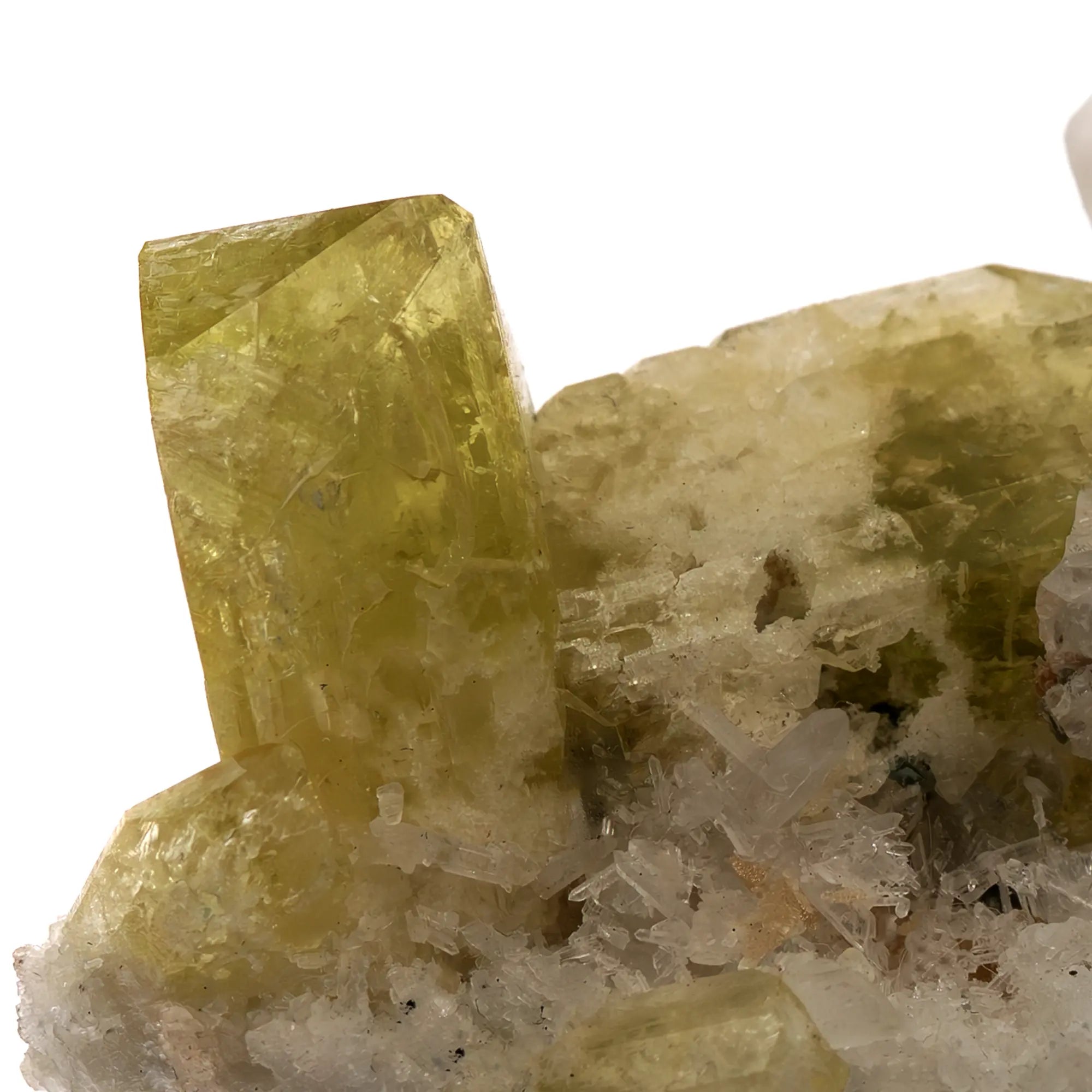 Collection - Brazilianite, beryllonite & quartz - Brésil