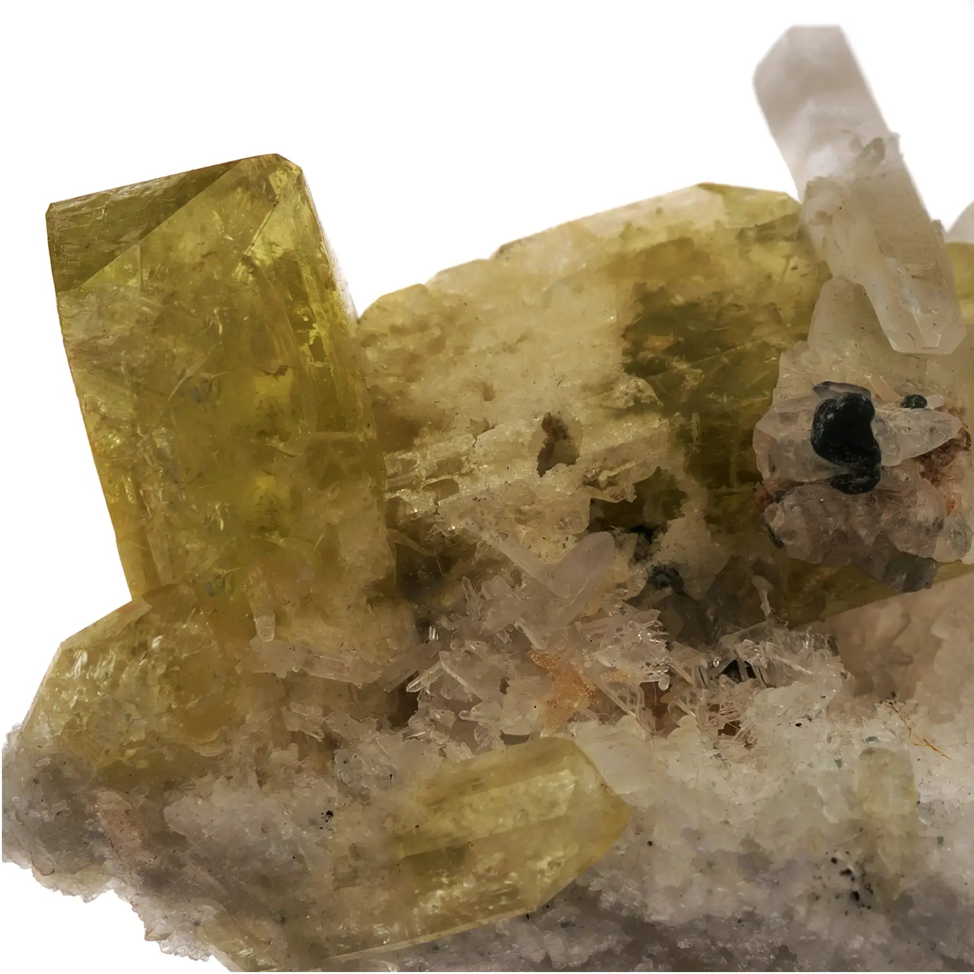 Collection - Brazilianite, beryllonite & quartz - Brésil