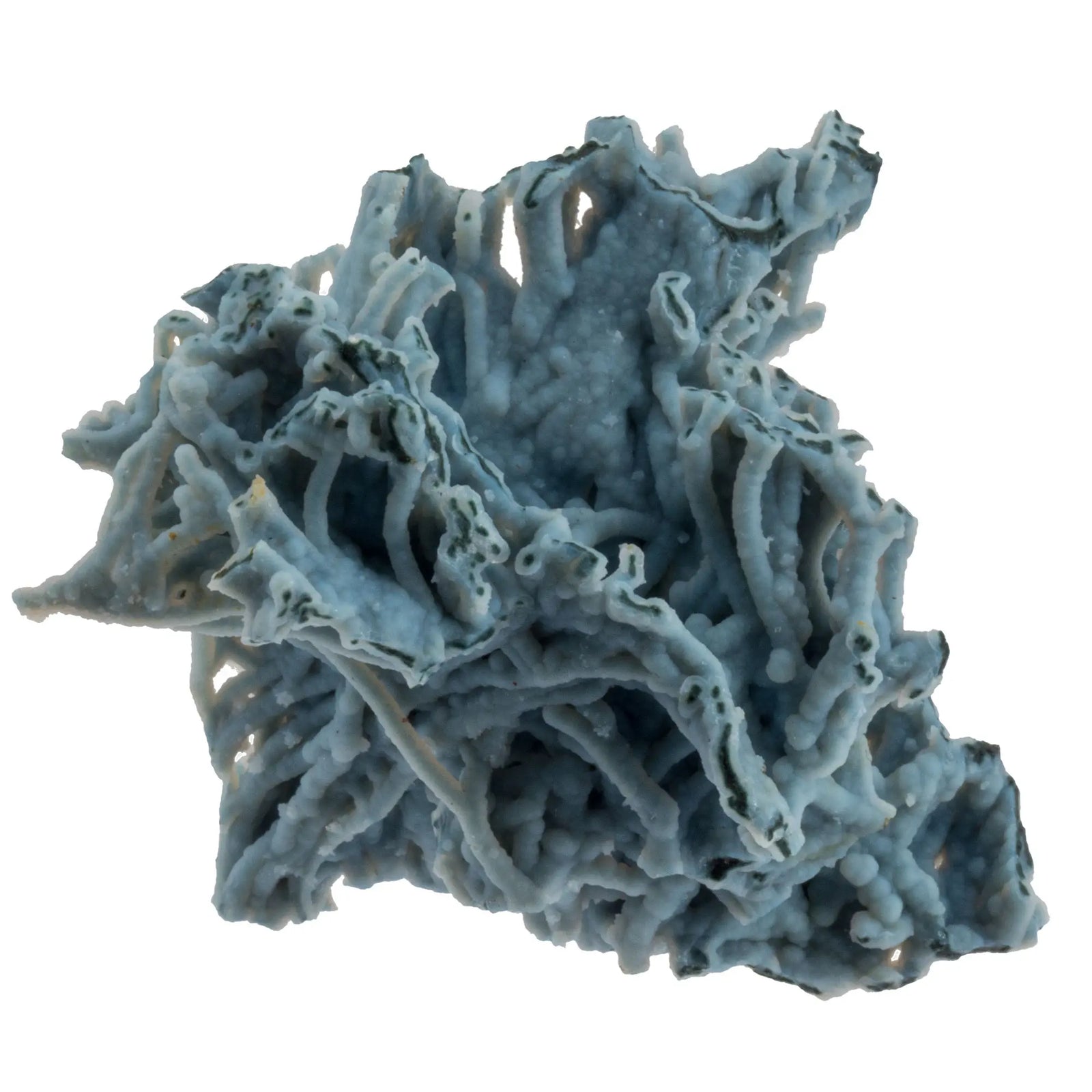 Calcédoine bleue corail - pierre brute - 4-5cm - CRISTAL SOURCES