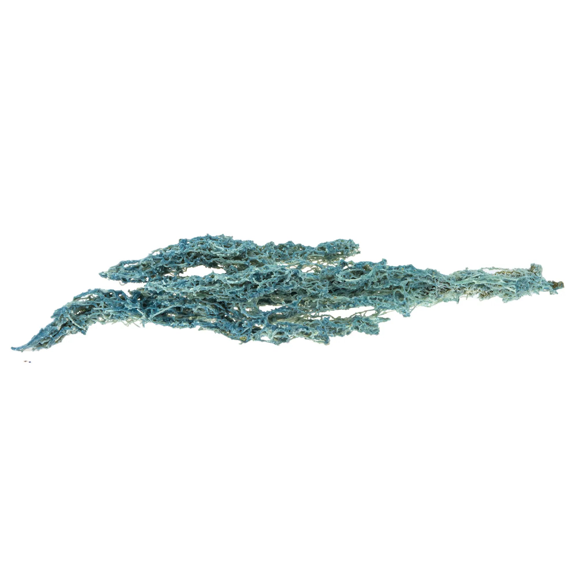 Calcédoine bleue corail - pierre brute - CRISTAL SOURCES