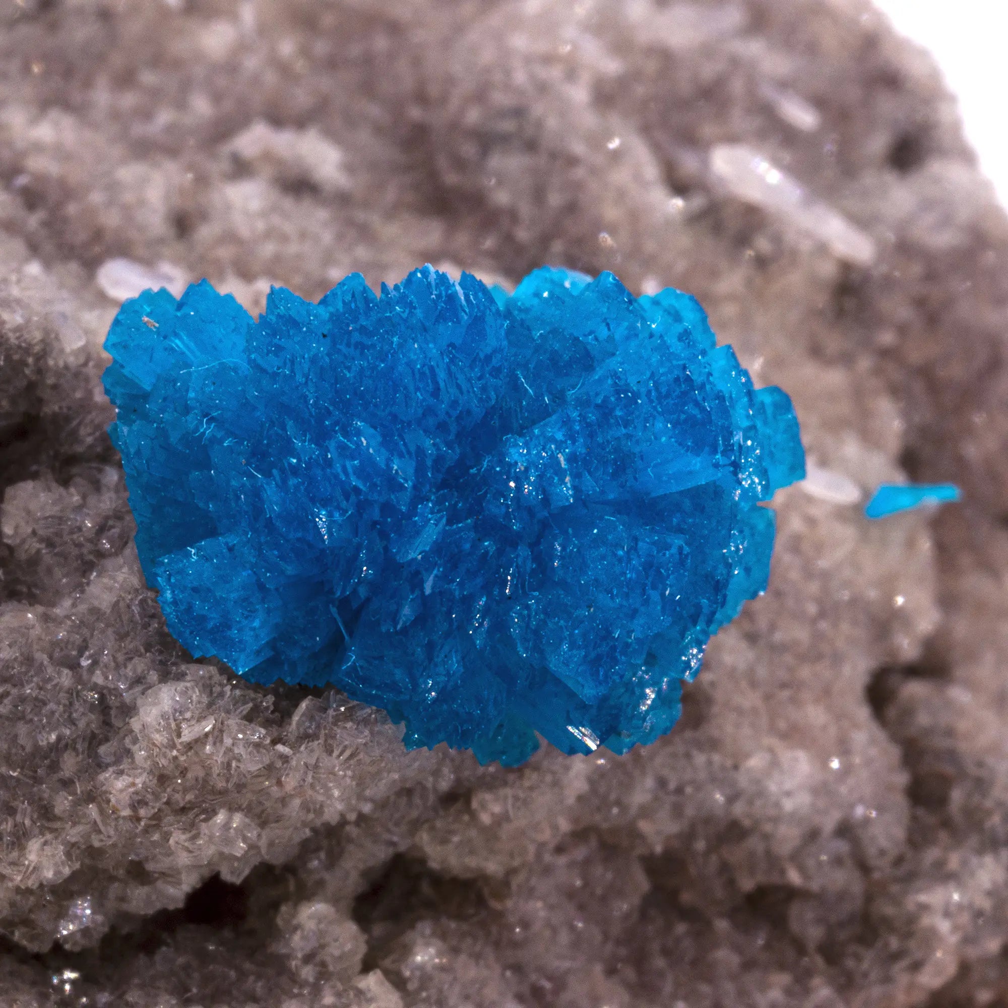 Cavansite - Stilbite - pierre brute - Inde - 128gr - cavansite-stilbite-inde-gros-nodule-cav14 - CRISTAL SOURCES