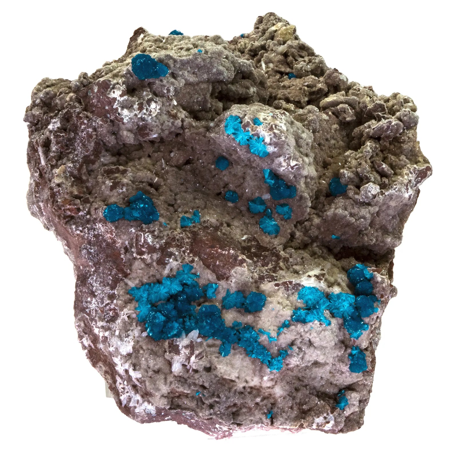 Cavansite pierre brute - Inde - collection - 16,86kg - cavansite-stilbite-big-collection-musee-cav5 - CRISTAL SOURCES