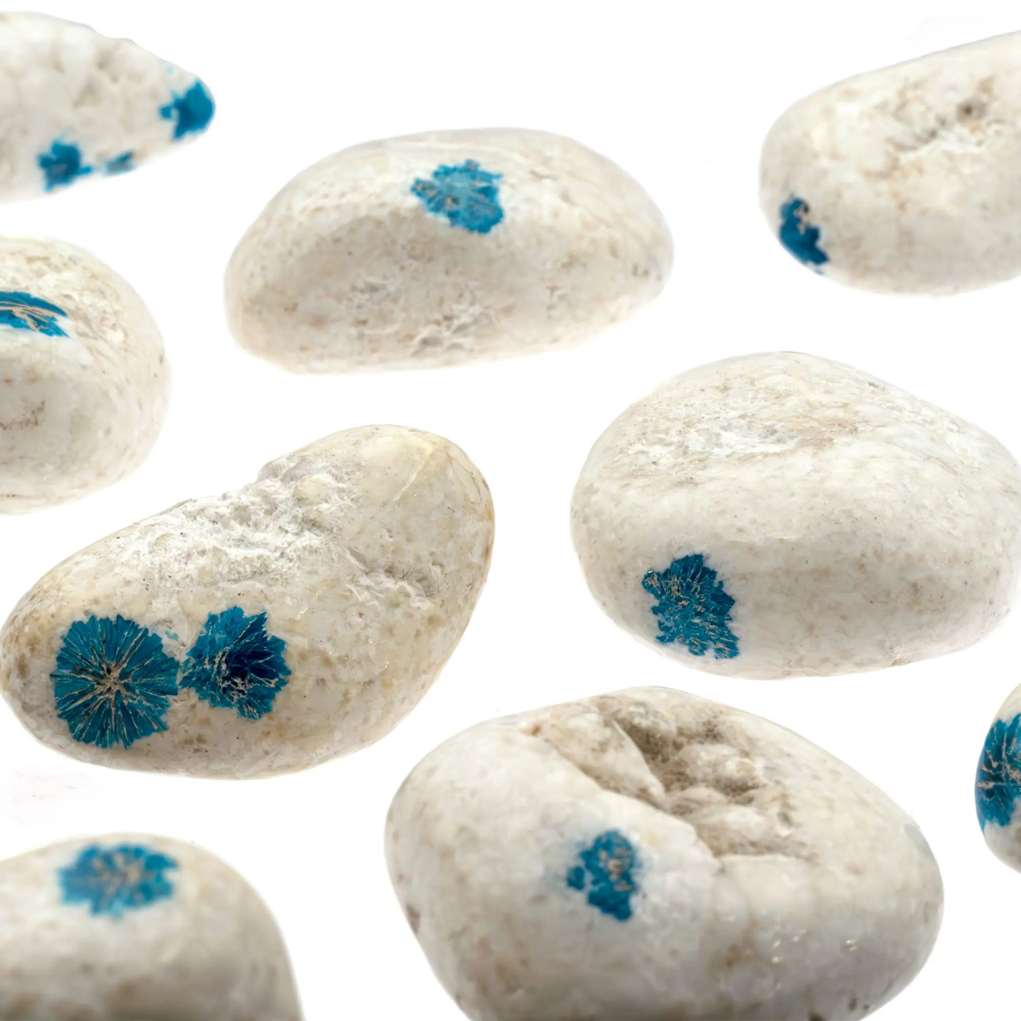 Cavansite sur mordenite - pierre roulée - Inde - 2,5 à 3 cm - cavansite-polie-mordenite-cavpr1 - CRISTAL SOURCES