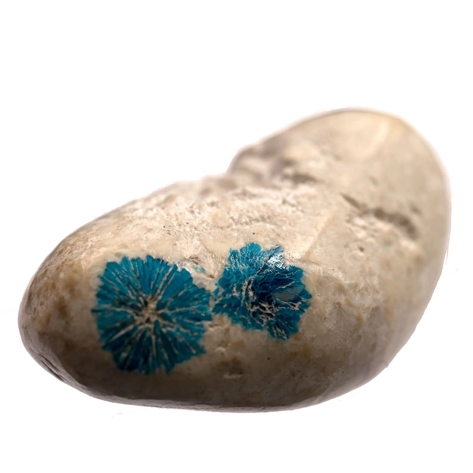 Cavansite sur mordenite - pierre roulée - Inde - 2,5 à 3 cm - cavansite-polie-mordenite-cavpr1 - CRISTAL SOURCES