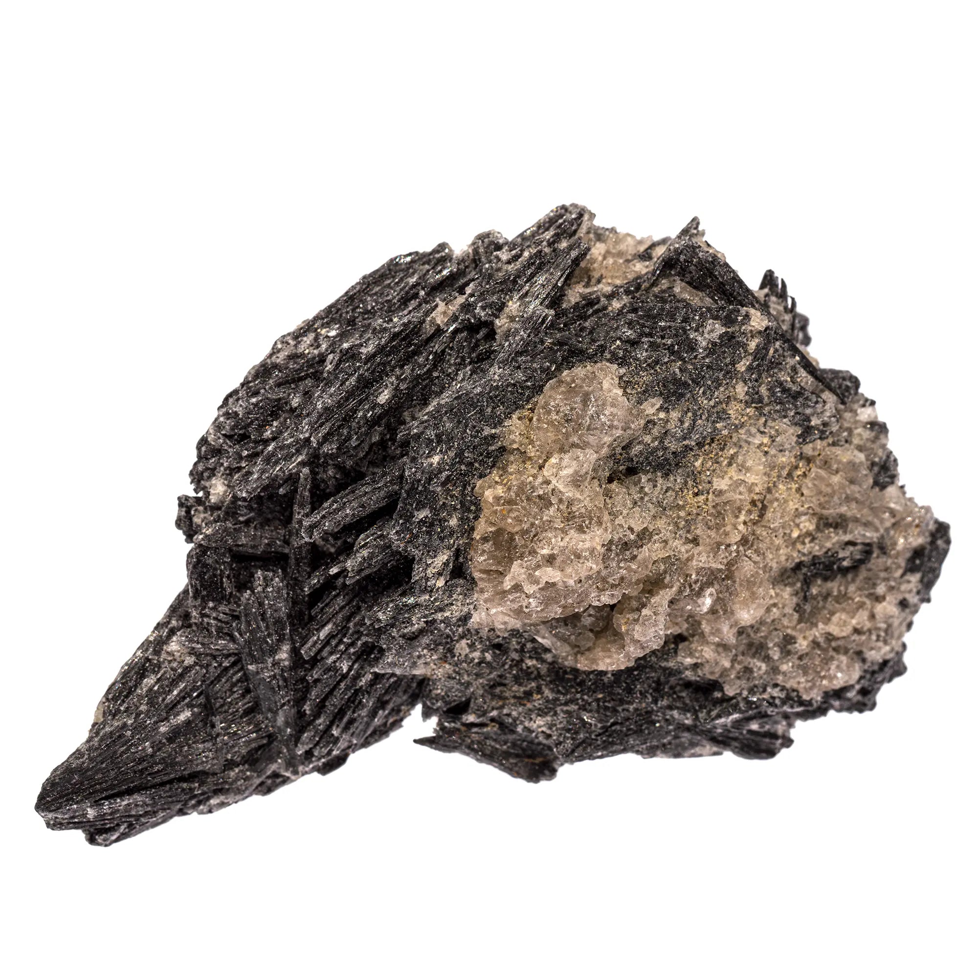 Cyanite noire - pierre brute - cyanite-noire-cristal-brut-bresil-cyan7 - CRISTAL SOURCES