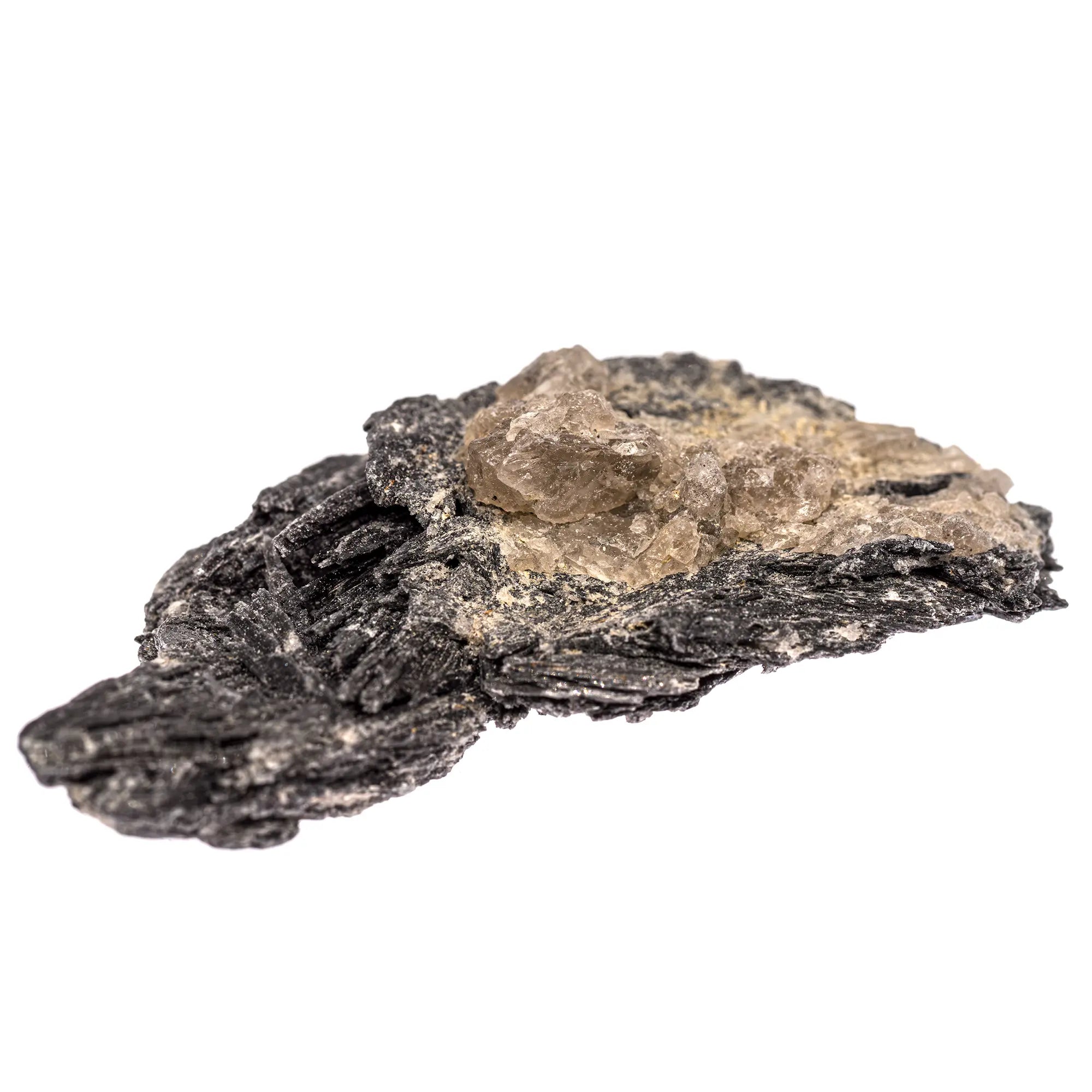 Cyanite noire - pierre brute - cyanite-noire-cristal-brut-bresil-cyan7 - CRISTAL SOURCES