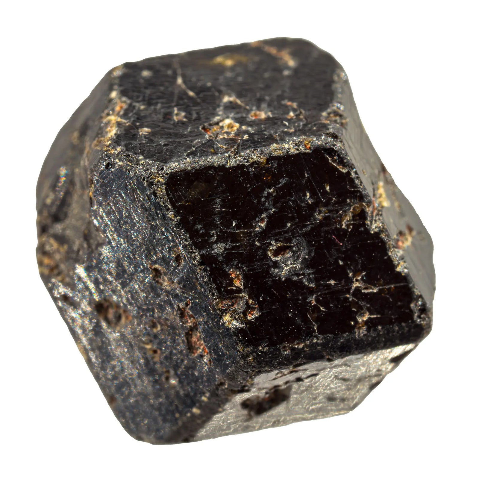 Grenat andradite - mélanite - cristal - grenat-andradite-melanite-cristal-brut-gand1 - CRISTAL SOURCES