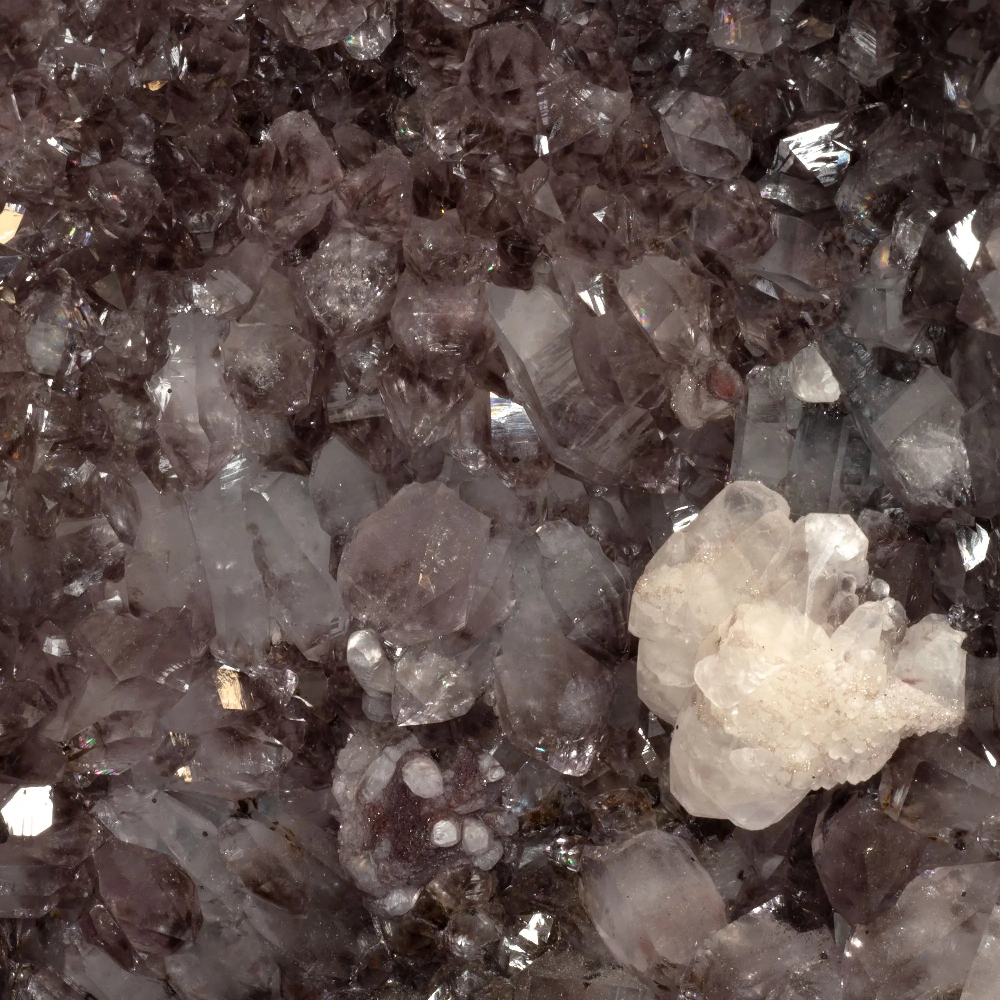 Géode Améthyste avec calcite - 19.74kg - CRISTAL SOURCES