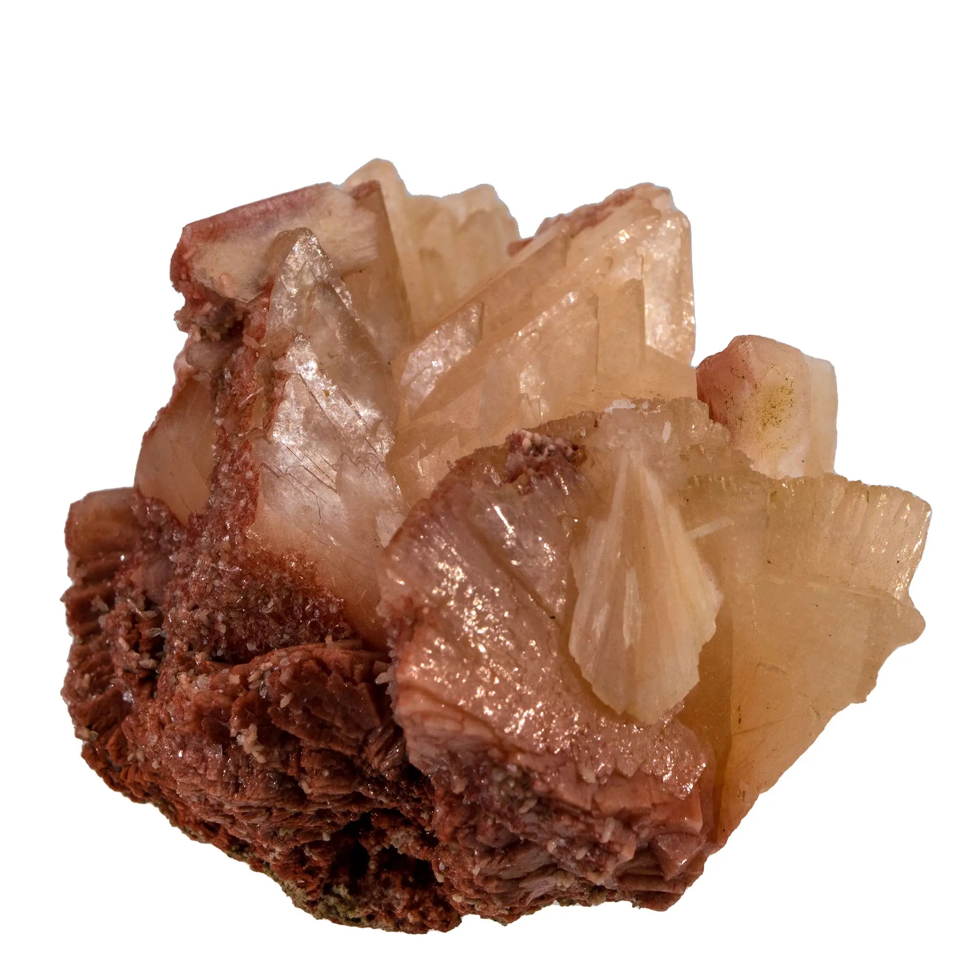 Heulandite brute du Maharashtra – Stilbite associée | Minéraux de collection - heulandite-cristaux-bruts-sur-stilbite-heu13 - CRISTAL SOURCES
