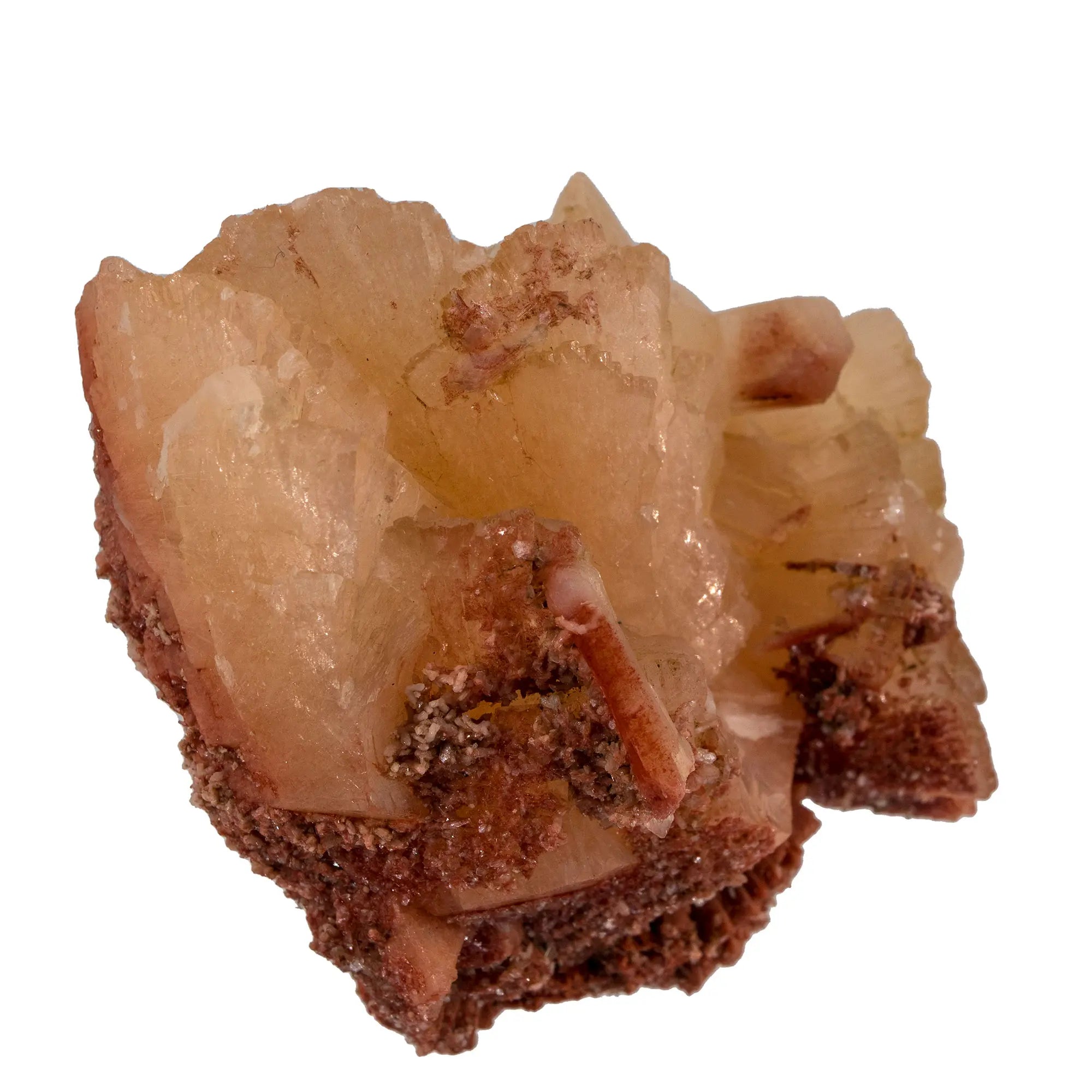 Heulandite brute du Maharashtra – Stilbite associée | Minéraux de collection - heulandite-cristaux-bruts-sur-stilbite-heu13 - CRISTAL SOURCES