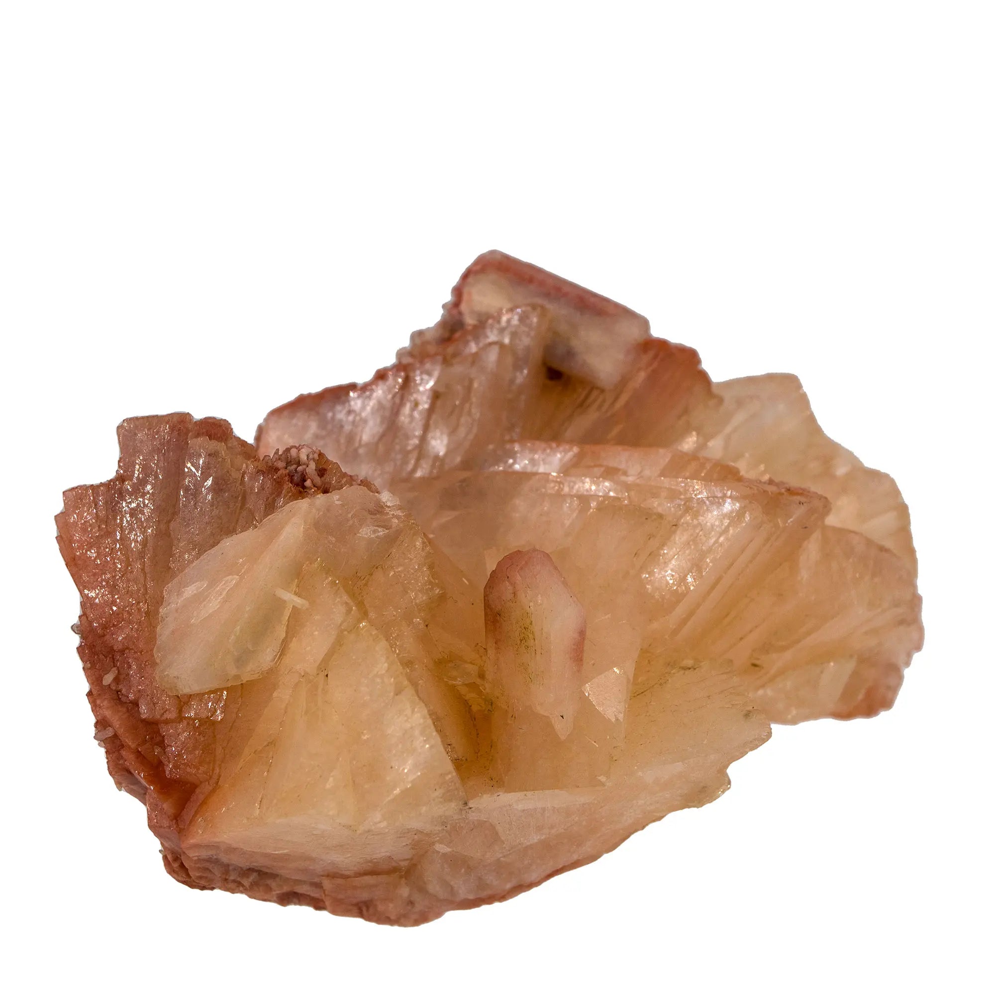 Heulandite brute du Maharashtra – Stilbite associée | Minéraux de collection - heulandite-cristaux-bruts-sur-stilbite-heu13 - CRISTAL SOURCES