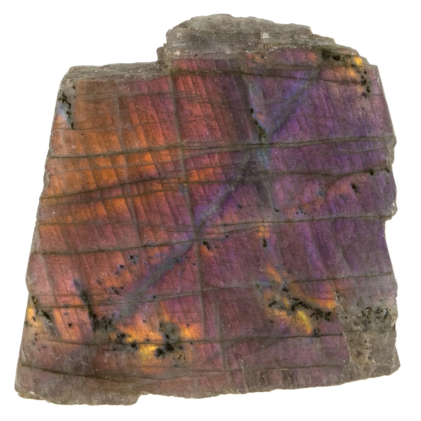 Labradorite polie - tranche - labradorite-tranche-polie-madagascar-lb4 - CRISTAL SOURCES