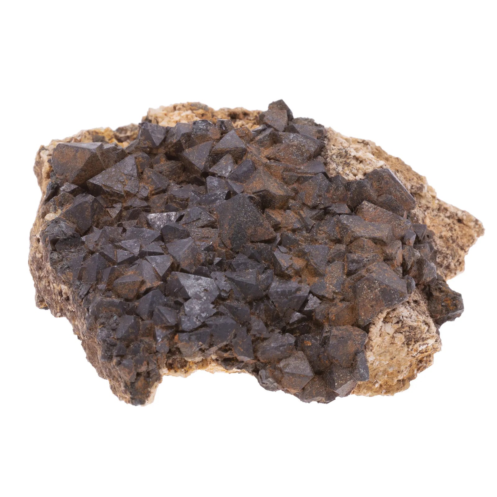Magnétite brute- apatite - feldspath - Maroc - 148gr - magnetite-apatite-feldspath-brut-maroc-148gr-magt6 - CRISTAL SOURCES