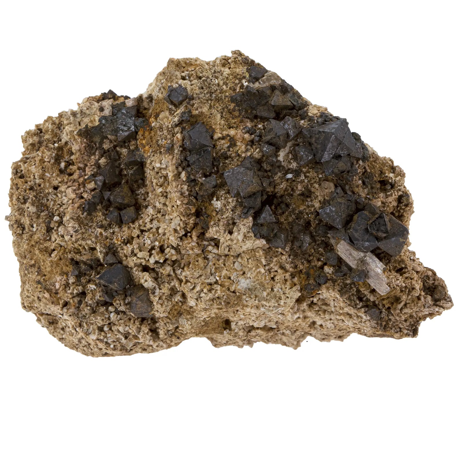 Magnétite brute - apatite - feldspath - Maroc - 273gr - magnetite-apatite-feldspath-brut-maroc-273gr-magt8 - CRISTAL SOURCES
