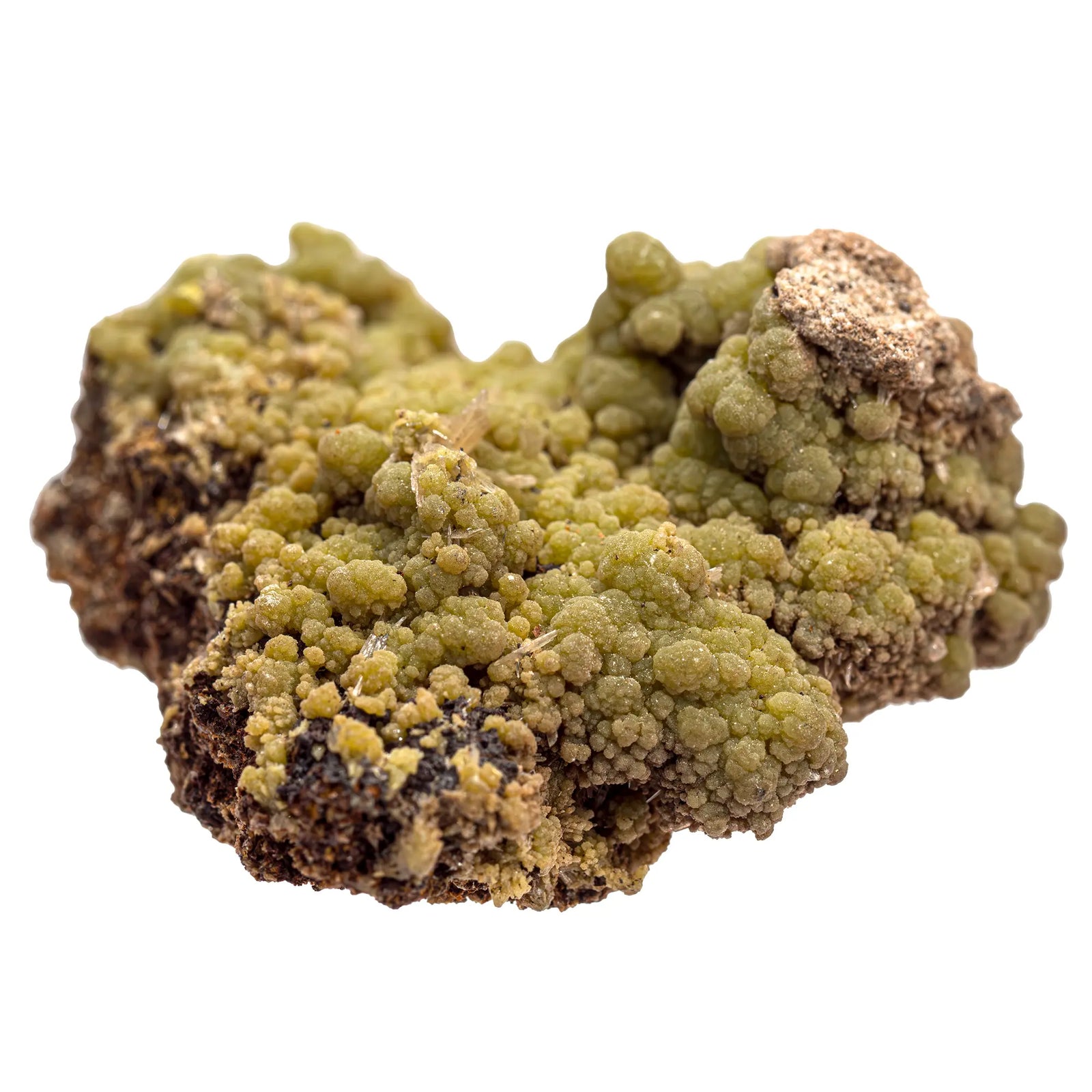 Mimetite verte cristaux bruts sur gangue - 29gr - mimetite-verte-cristaux-brut-gangue-mexique-mim3 - CRISTAL SOURCES