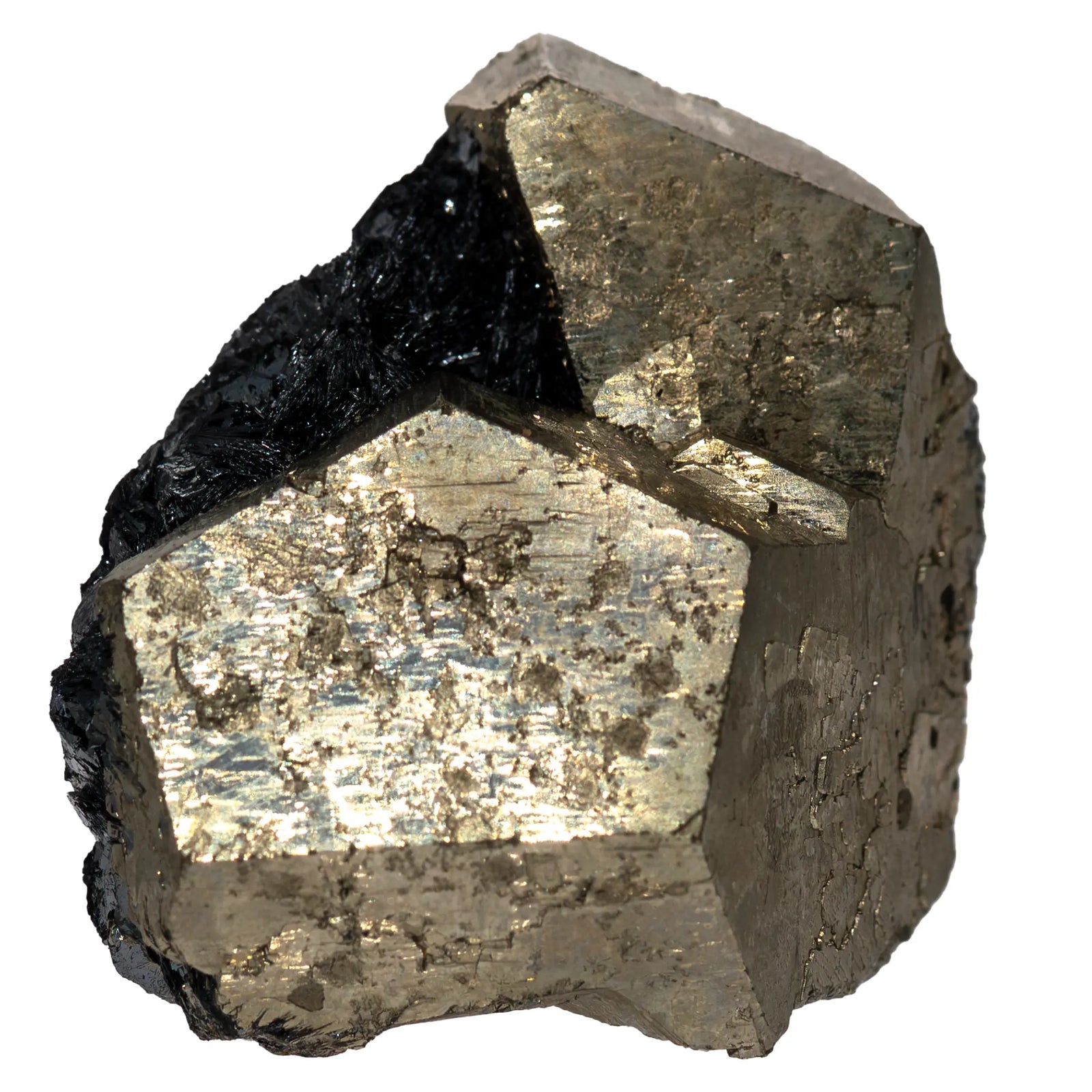 Pyrite cristal sur hématite - ile d'Elbe, Italie - pyrite-cristaux-bruts-hematite-elbe-pyr13 - CRISTAL SOURCES