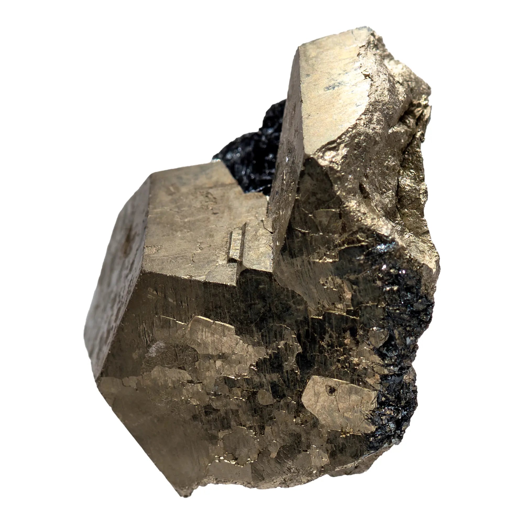 Pyrite cristal sur hématite - ile d'Elbe, Italie - pyrite-cristaux-bruts-hematite-elbe-pyr13 - CRISTAL SOURCES