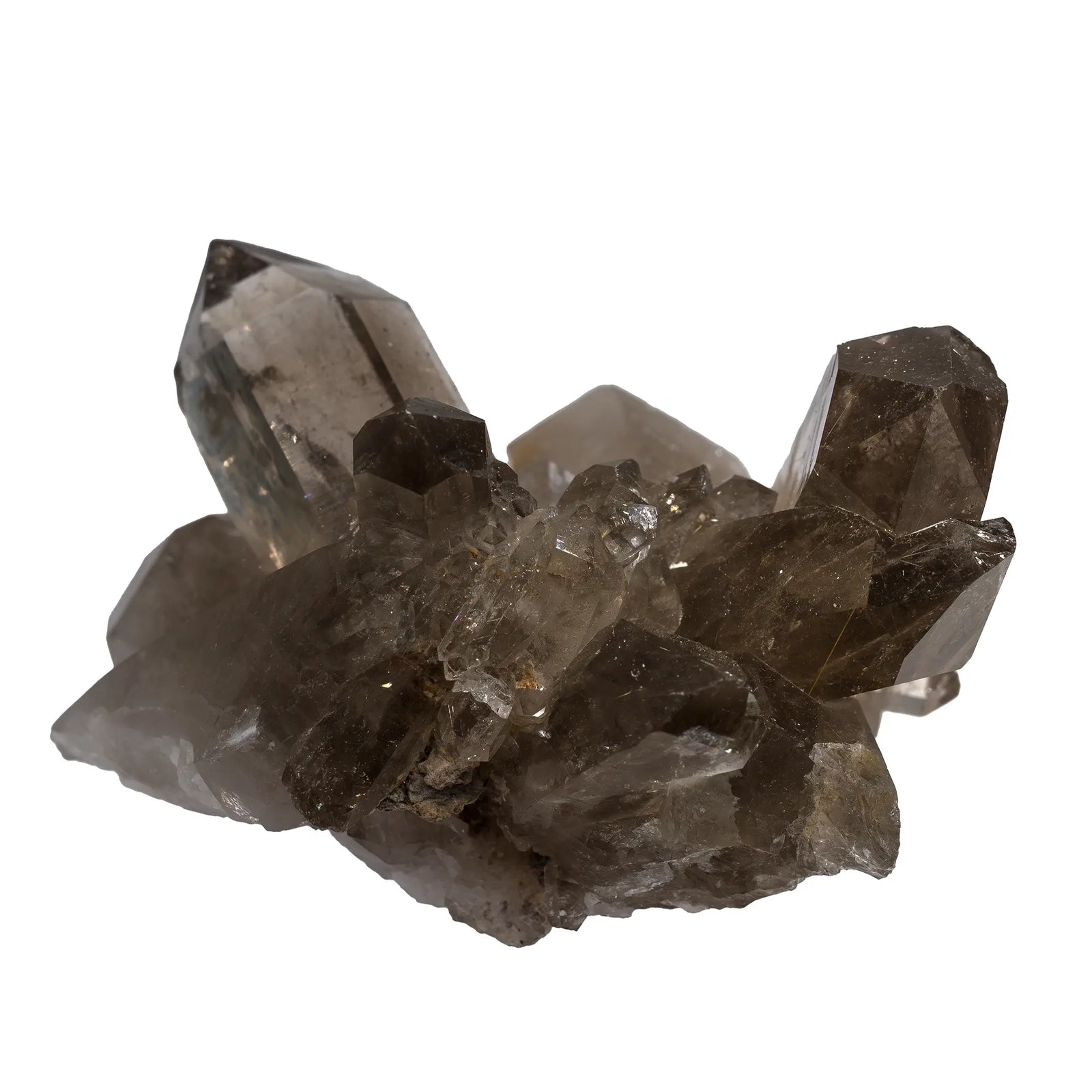 Druse Quartz fumé avec rutile - Diamantina, Brésil - quartz-fume-rutile-diamantina-bresil-qir3 - CRISTAL SOURCES