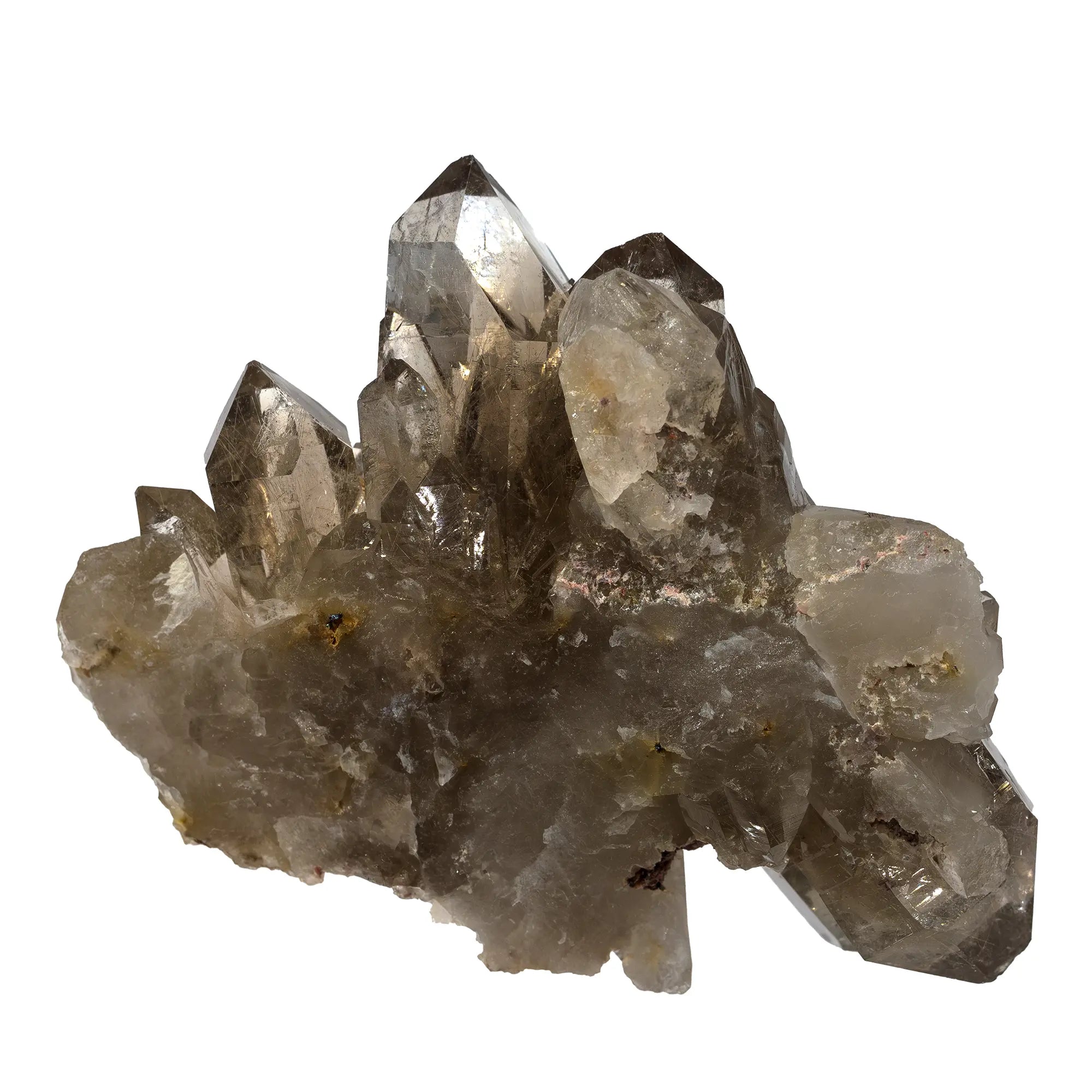 Quartz fumé cristaux avec rutile - Diamantina, Brésil - CRISTAL SOURCES