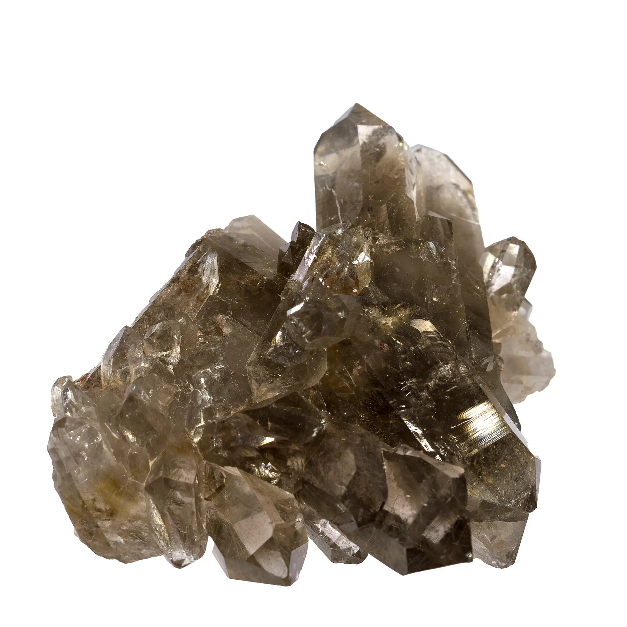 Quartz fumé cristaux avec rutile - Diamantina, Brésil - CRISTAL SOURCES