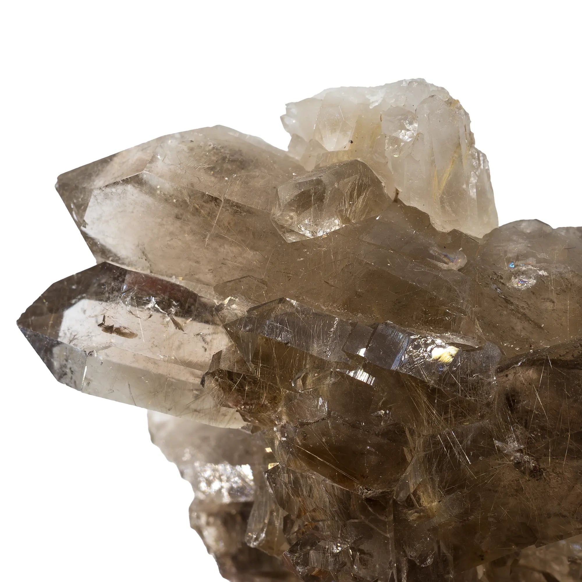 Quartz fumé cristaux avec rutile - Diamantina, Brésil - CRISTAL SOURCES
