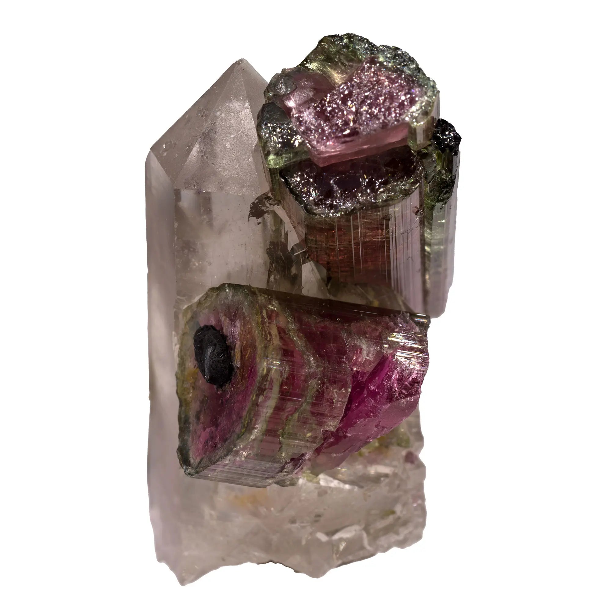 Tourmaline melon d'eau cristal sur quartz - Safira, Brésil - CRISTAL SOURCES