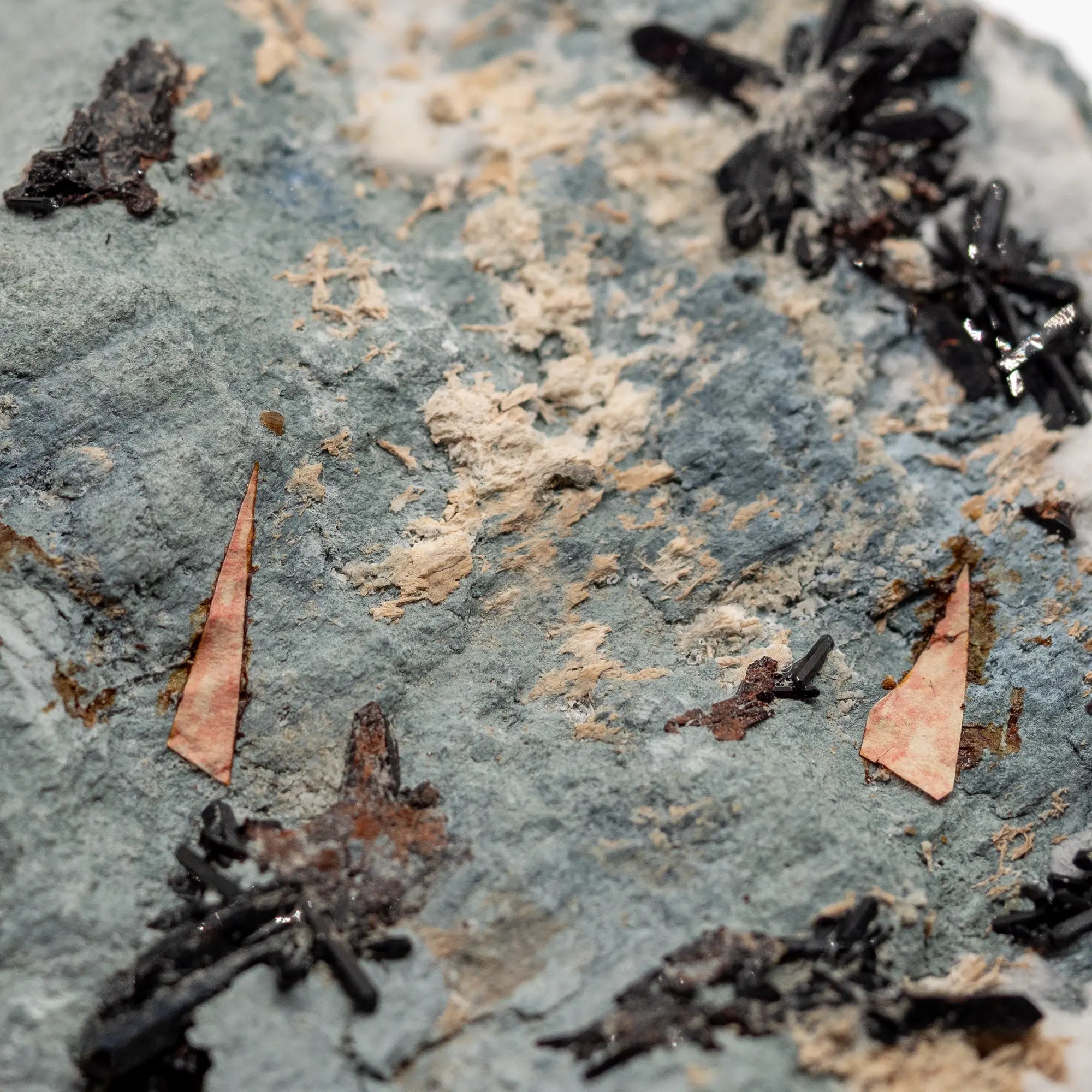 neptunite-joaquinite-san-benito-californie-usa-rar4 - CRISTAL SOURCES