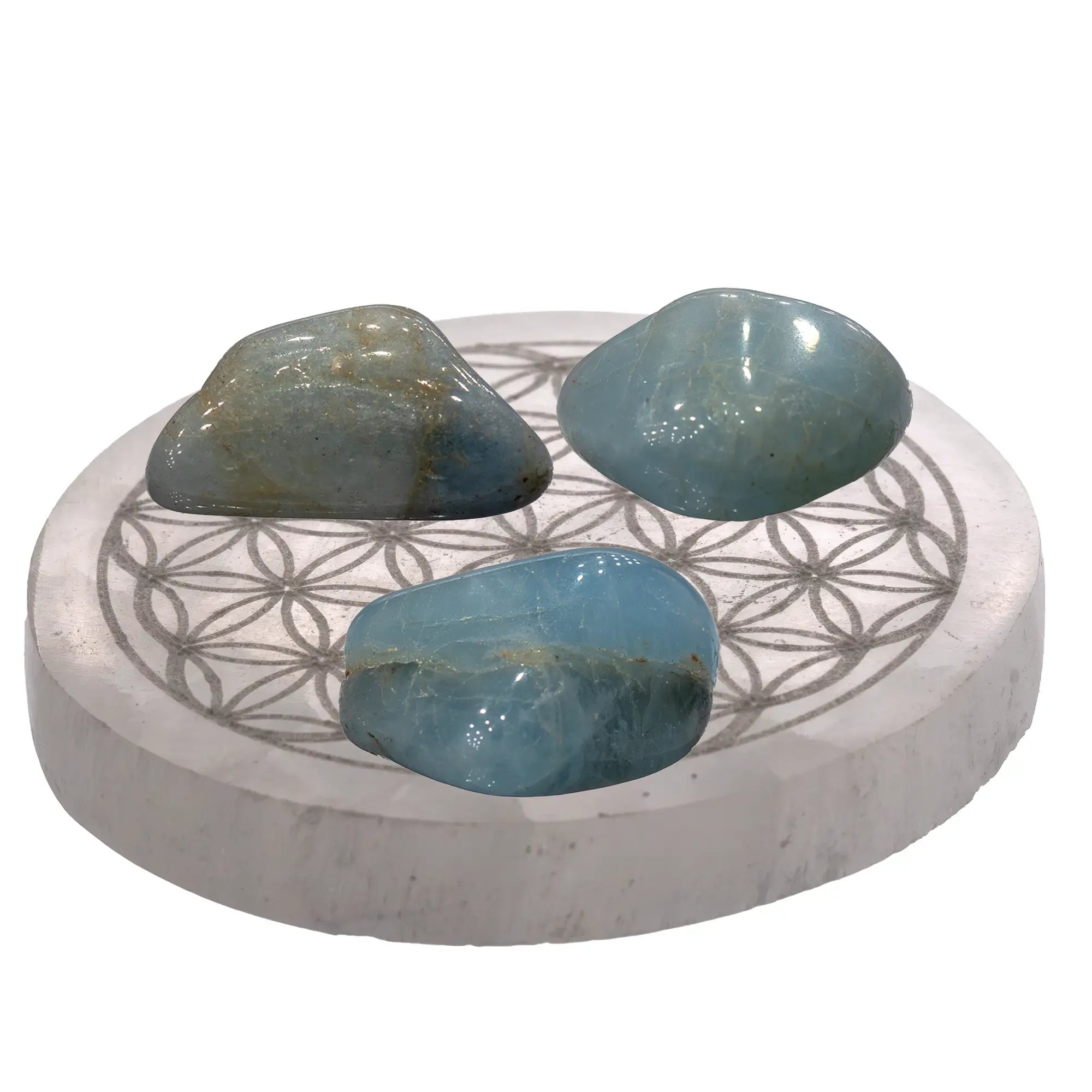 Fleur de vie selenite 8cm - recharge les minéraux - CRISTAL SOURCES