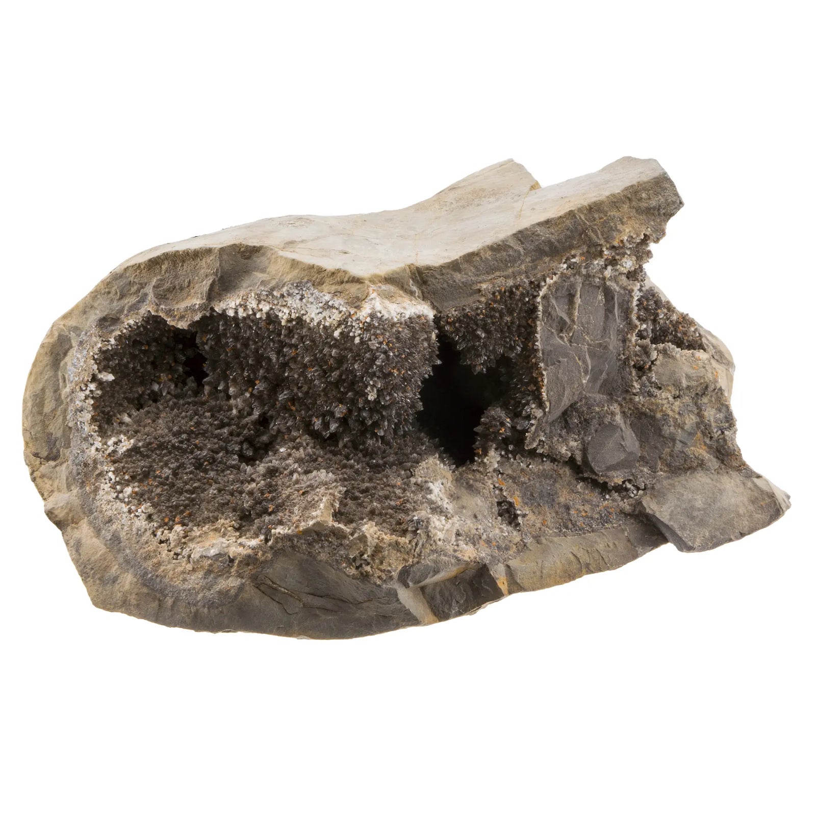 Septaria - Calcite - Ankérite - CRISTAL SOURCES