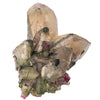 Tourmaline melon d'eau 14 cristaux sur quartz - collection - CRISTAL SOURCES
