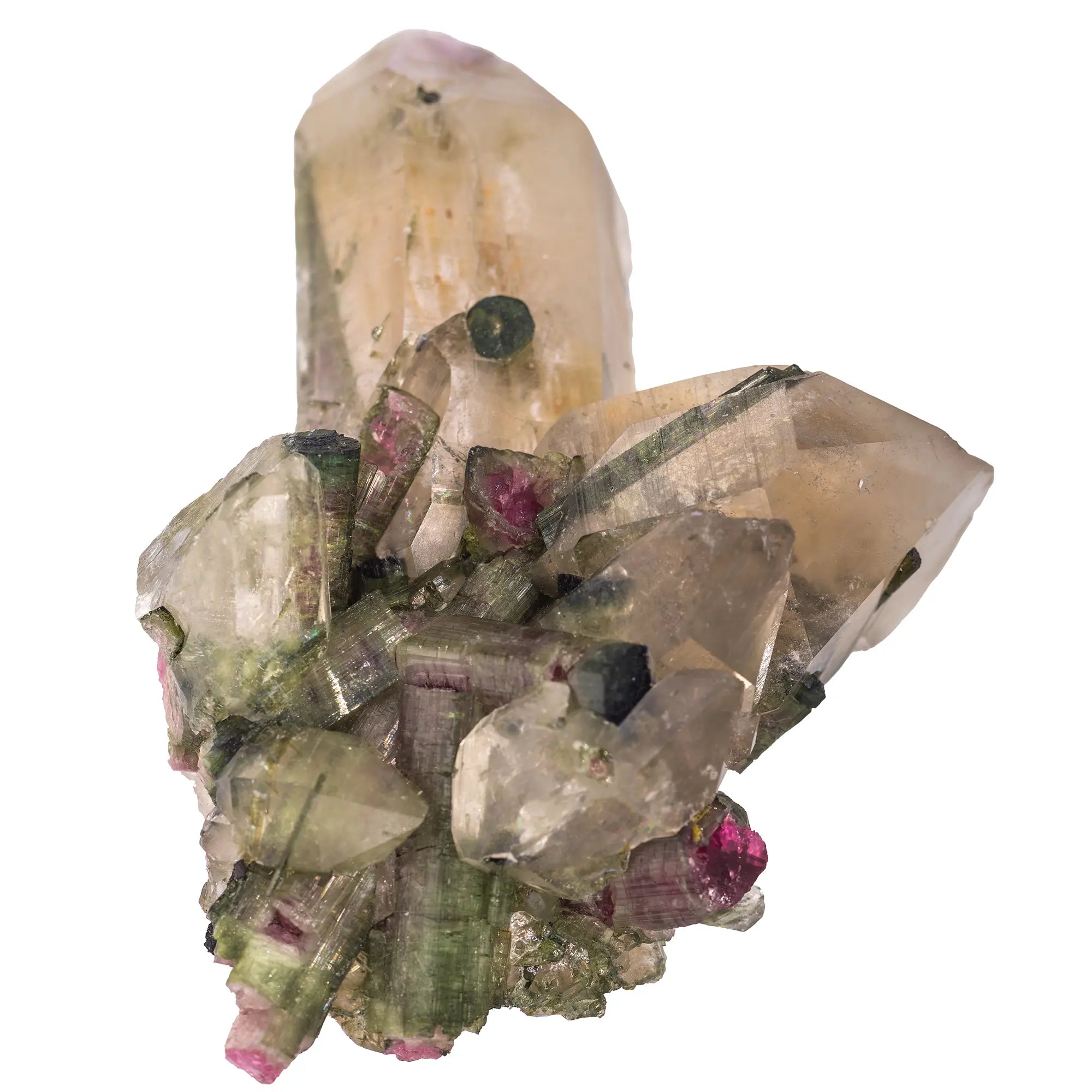 Tourmaline melon d'eau 14 cristaux sur quartz - collection - CRISTAL SOURCES