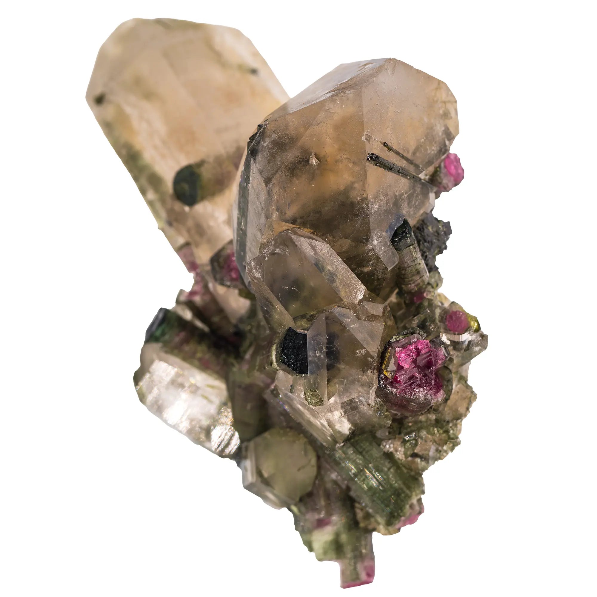 Tourmaline melon d'eau 14 cristaux sur quartz - collection - CRISTAL SOURCES