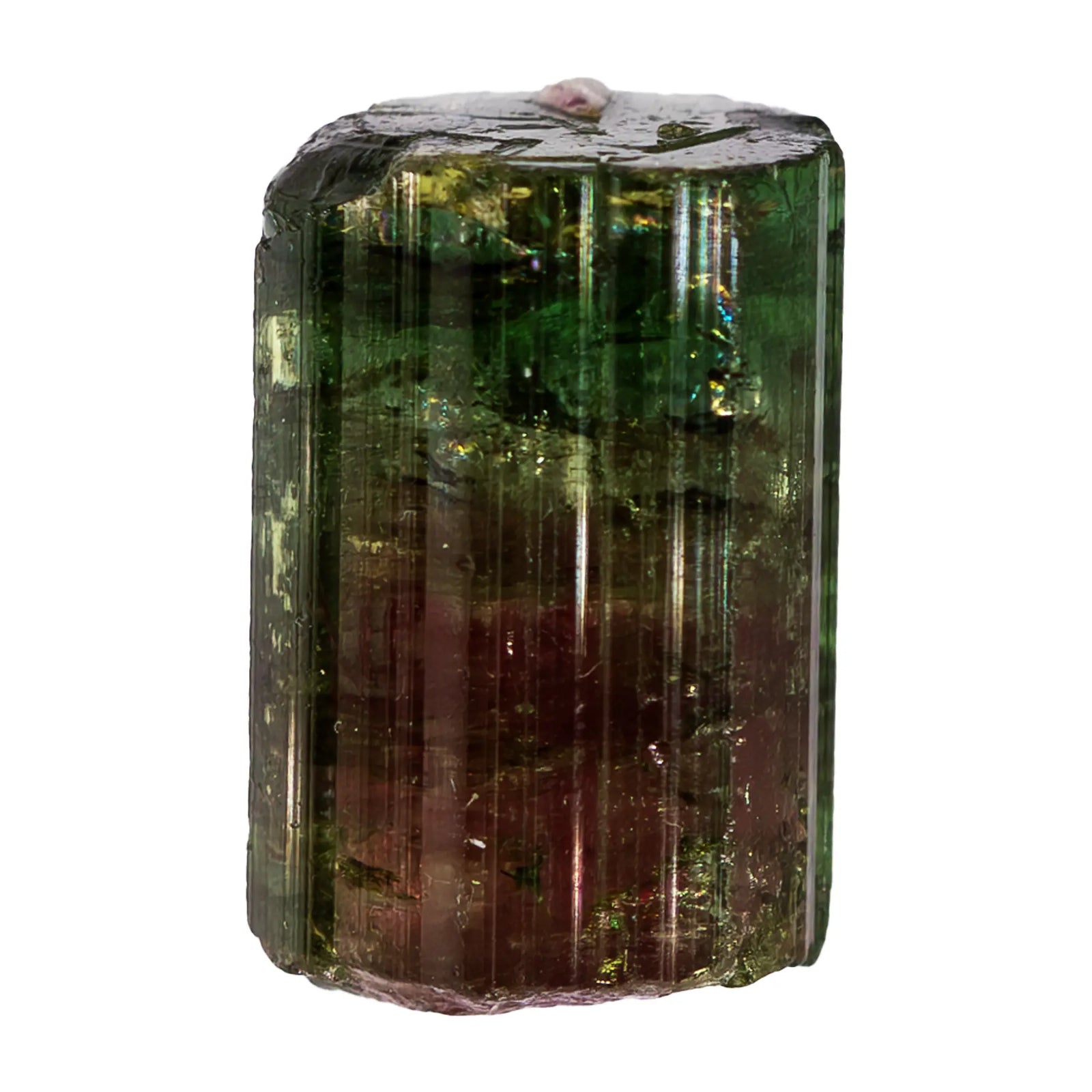 Tourmaline melon d'eau cristal brut - Conselheiro Pena, Brésil - tourmaline-melon-deau-conselheiro-pena-collection - CRISTAL SOURCES