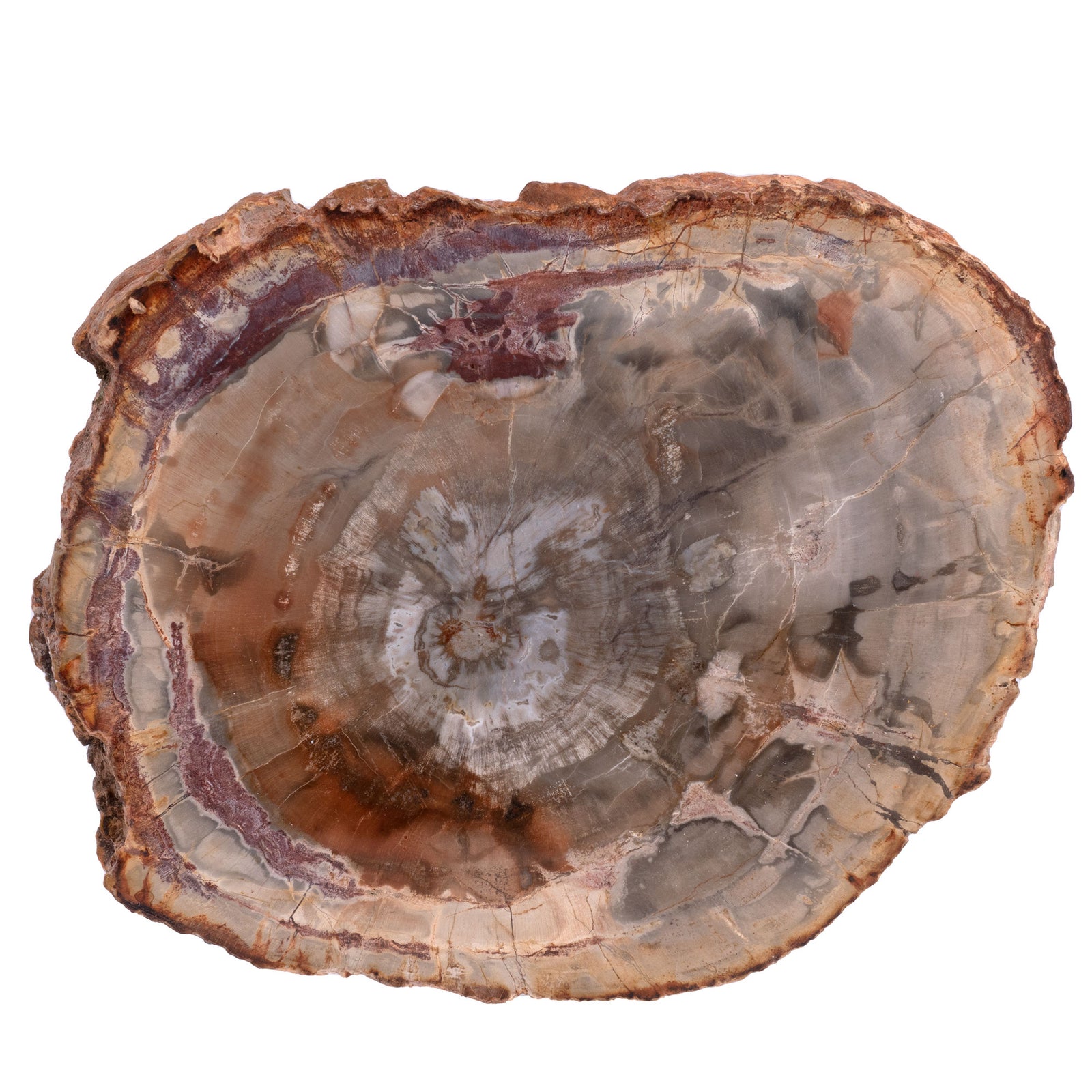 bois fossile pierre naturelle énergie