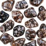 Agate fossile roulée d'Inde